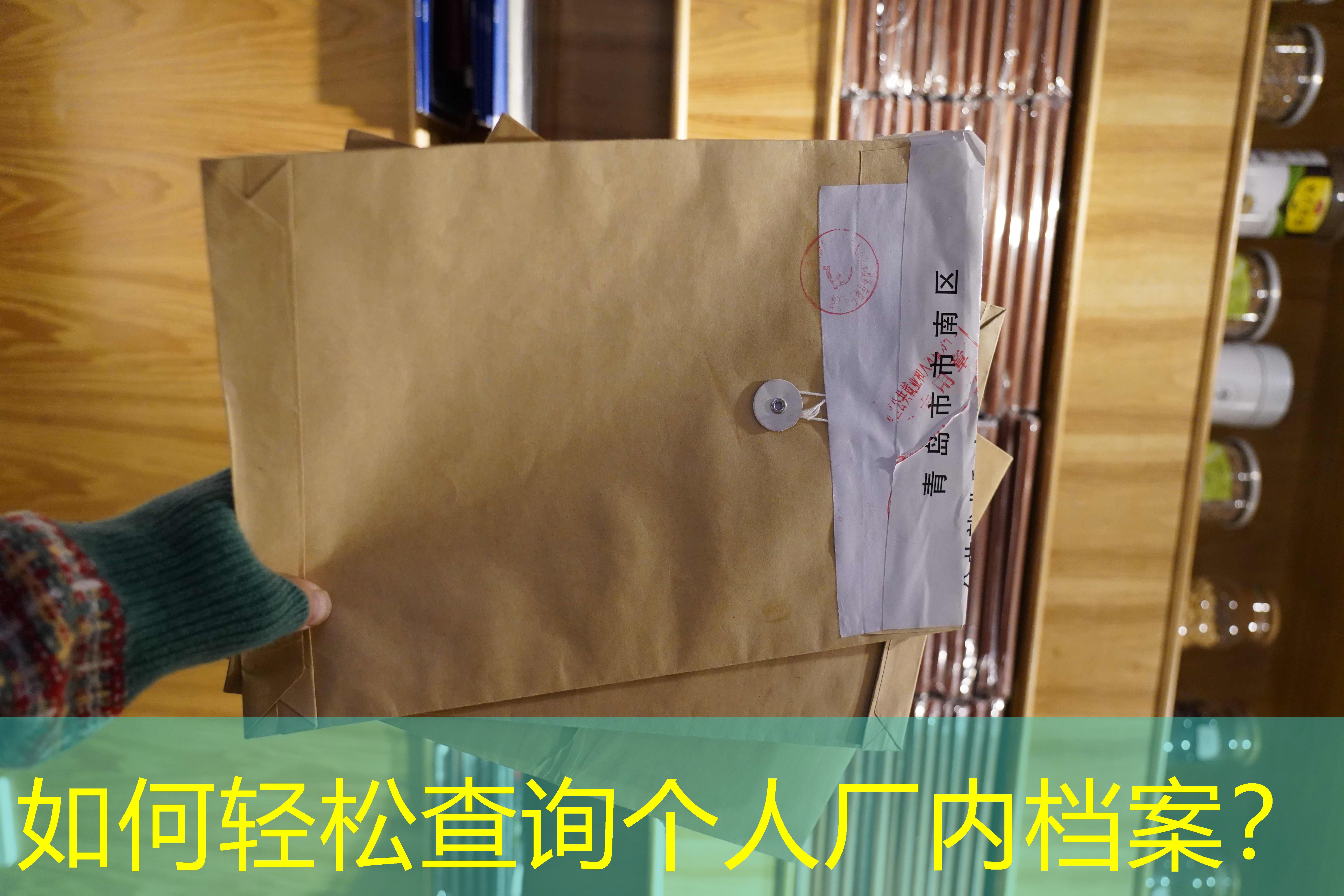 档案查询