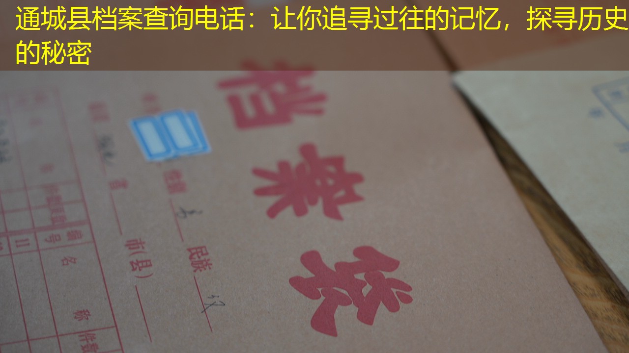 档案查询