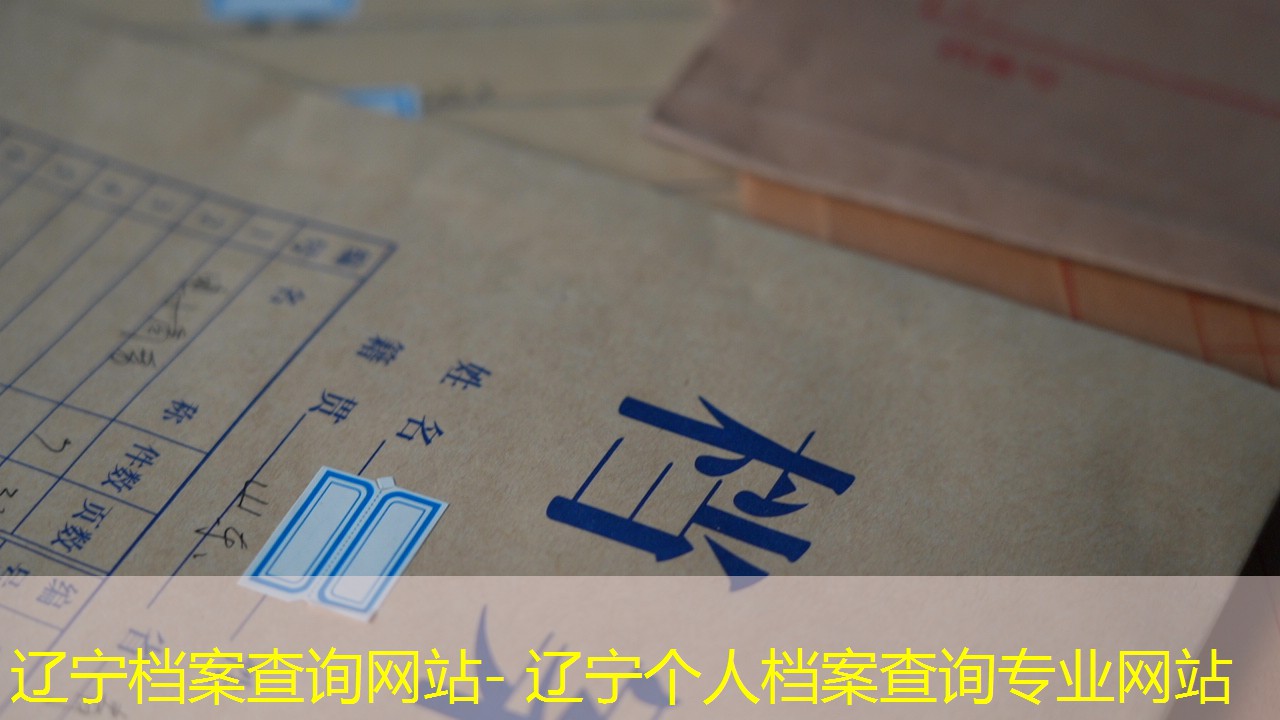 档案查询