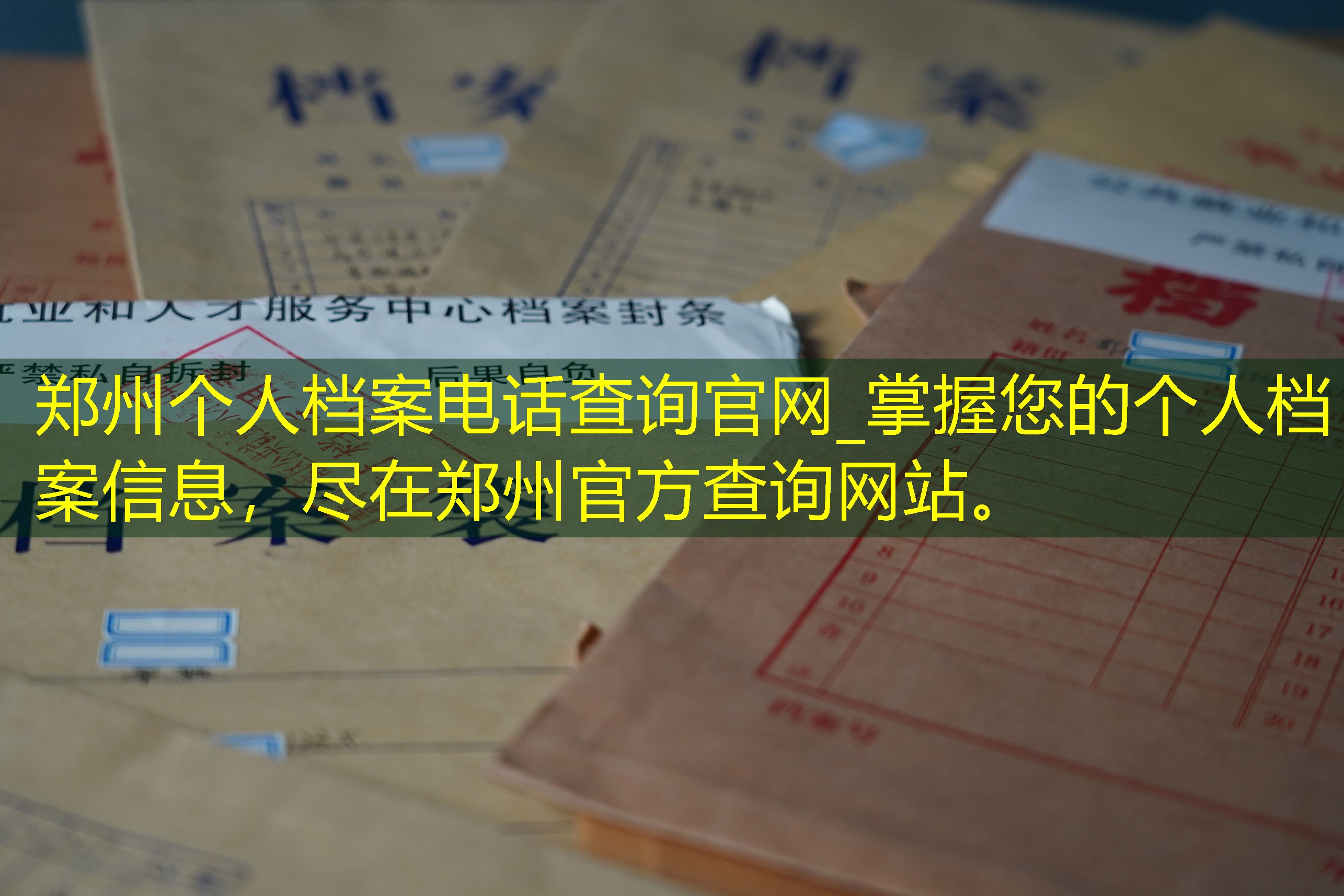 档案查询