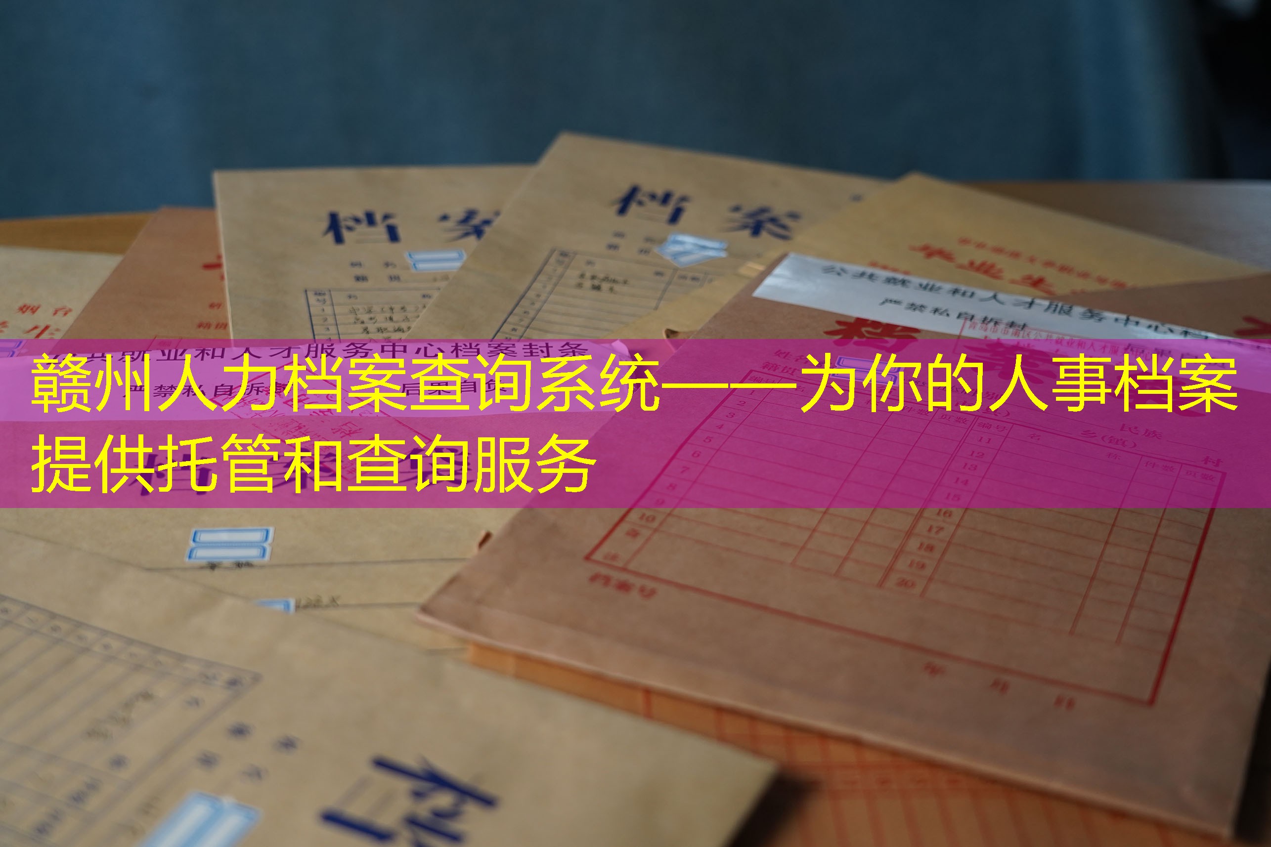 档案查询