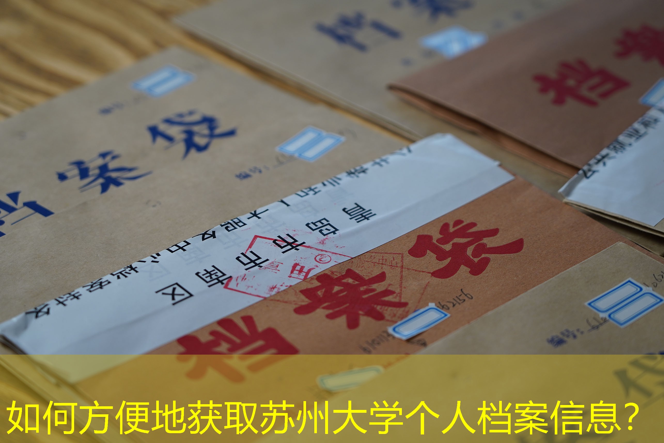 档案查询