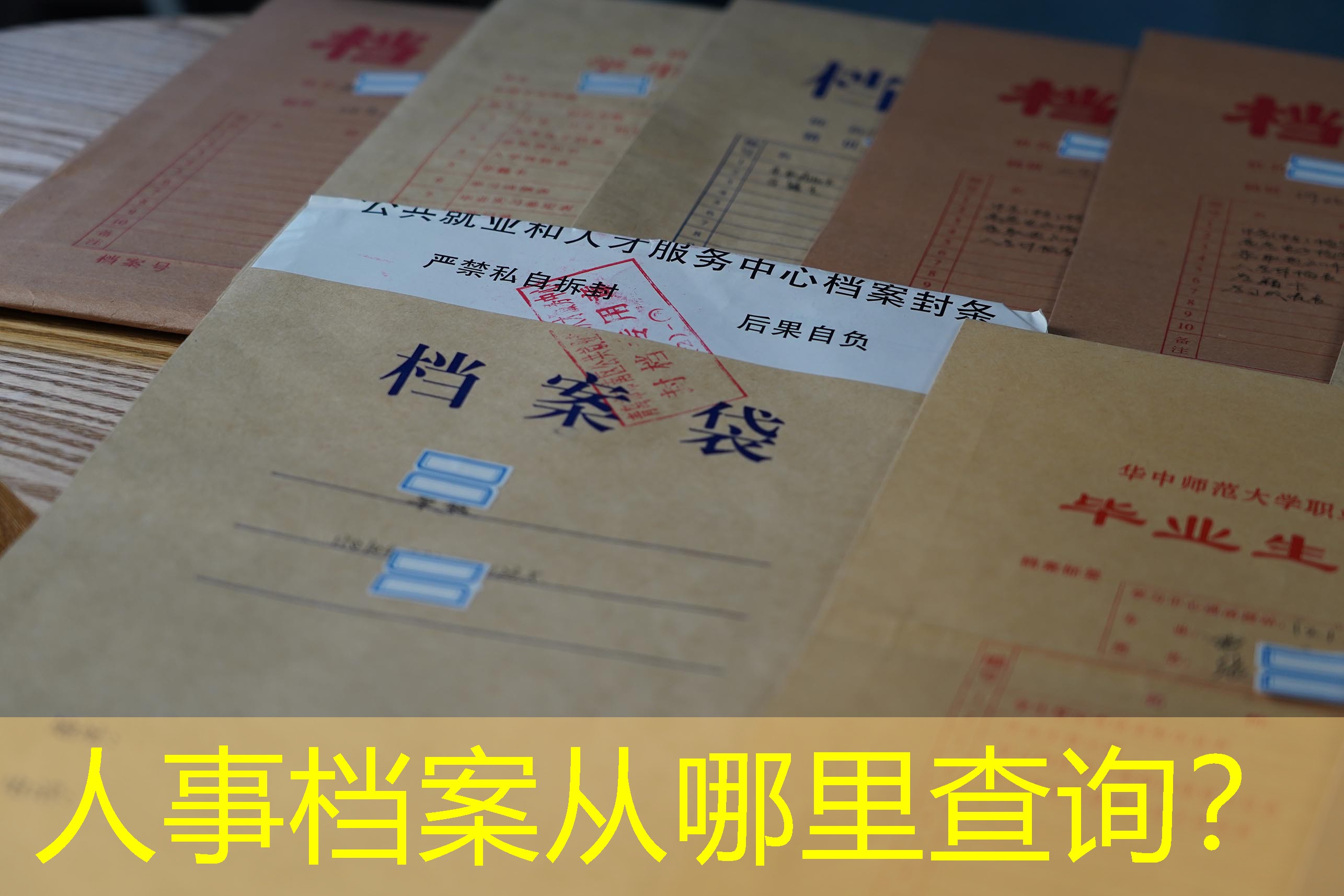 档案查询