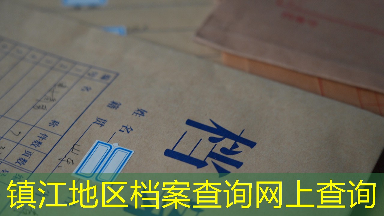 档案查询