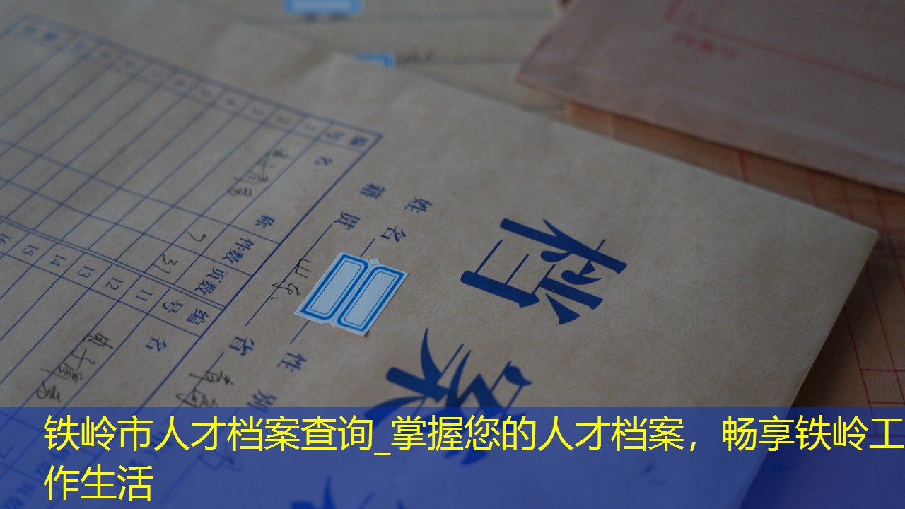 档案查询