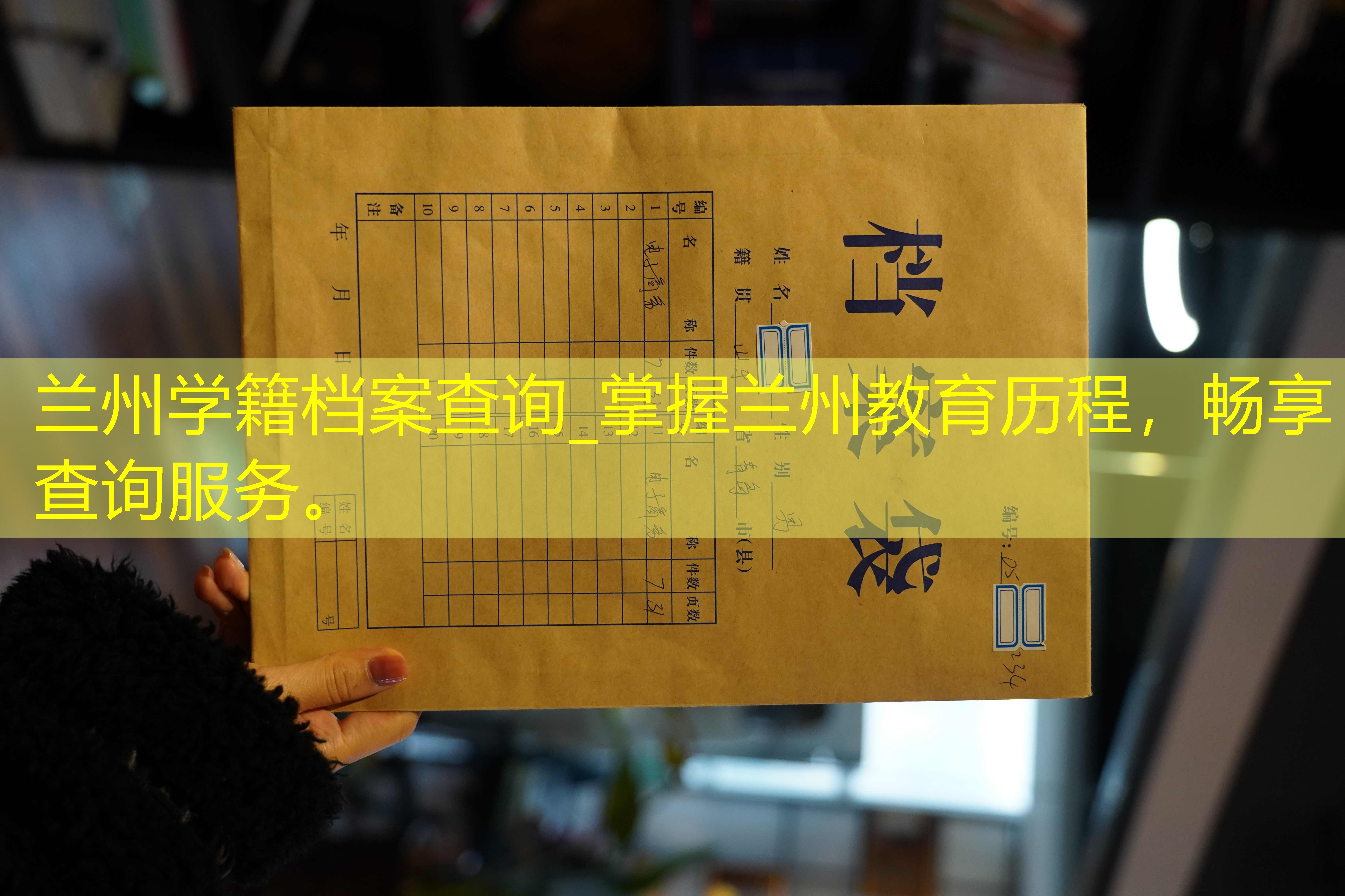 档案查询