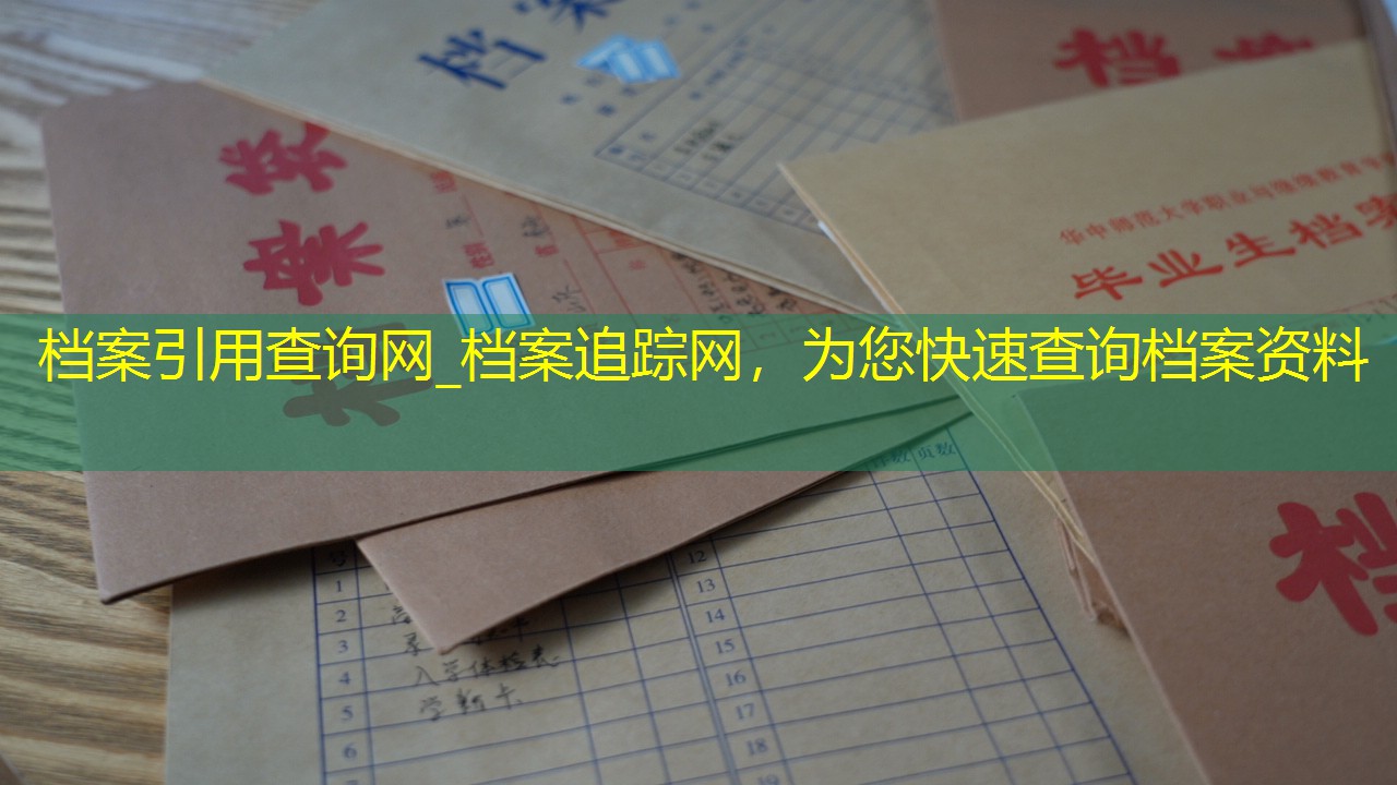 档案查询