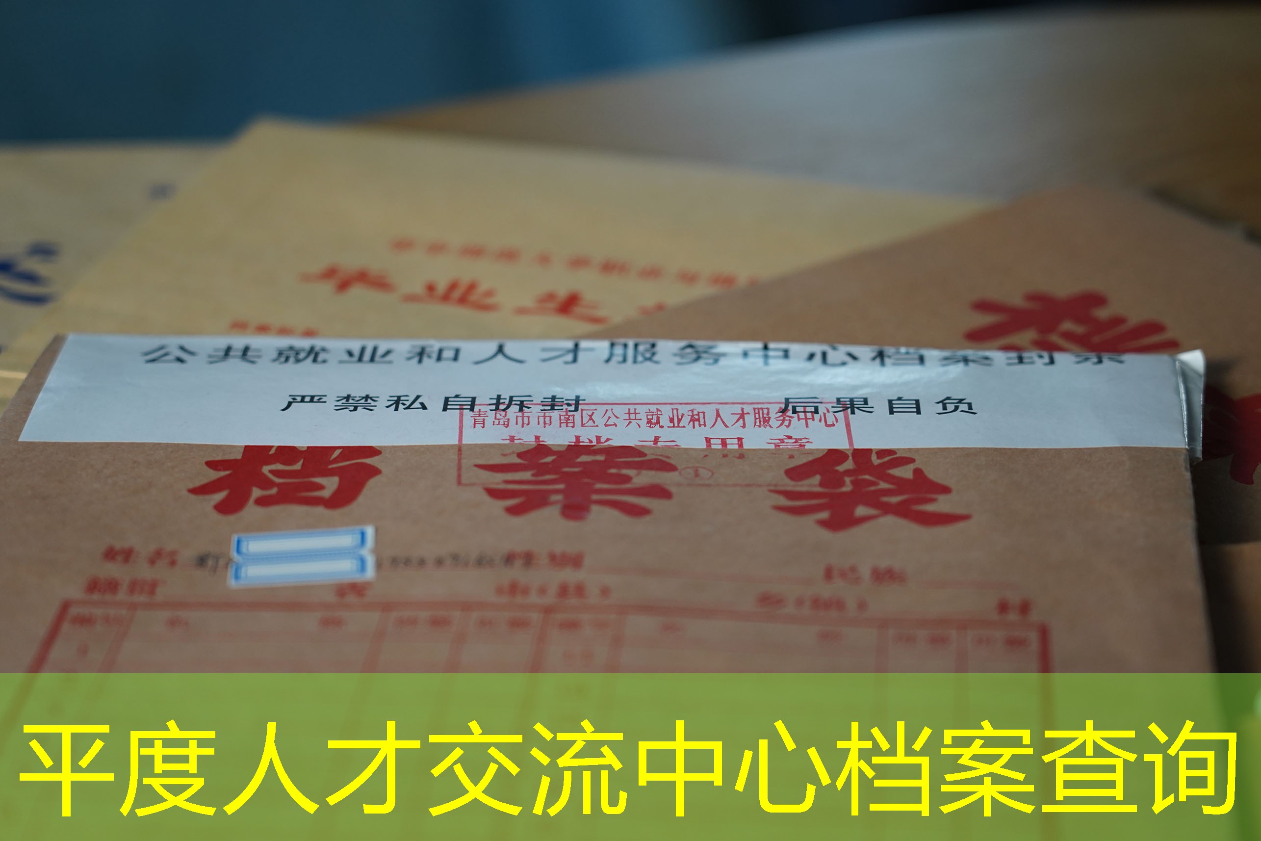 档案查询