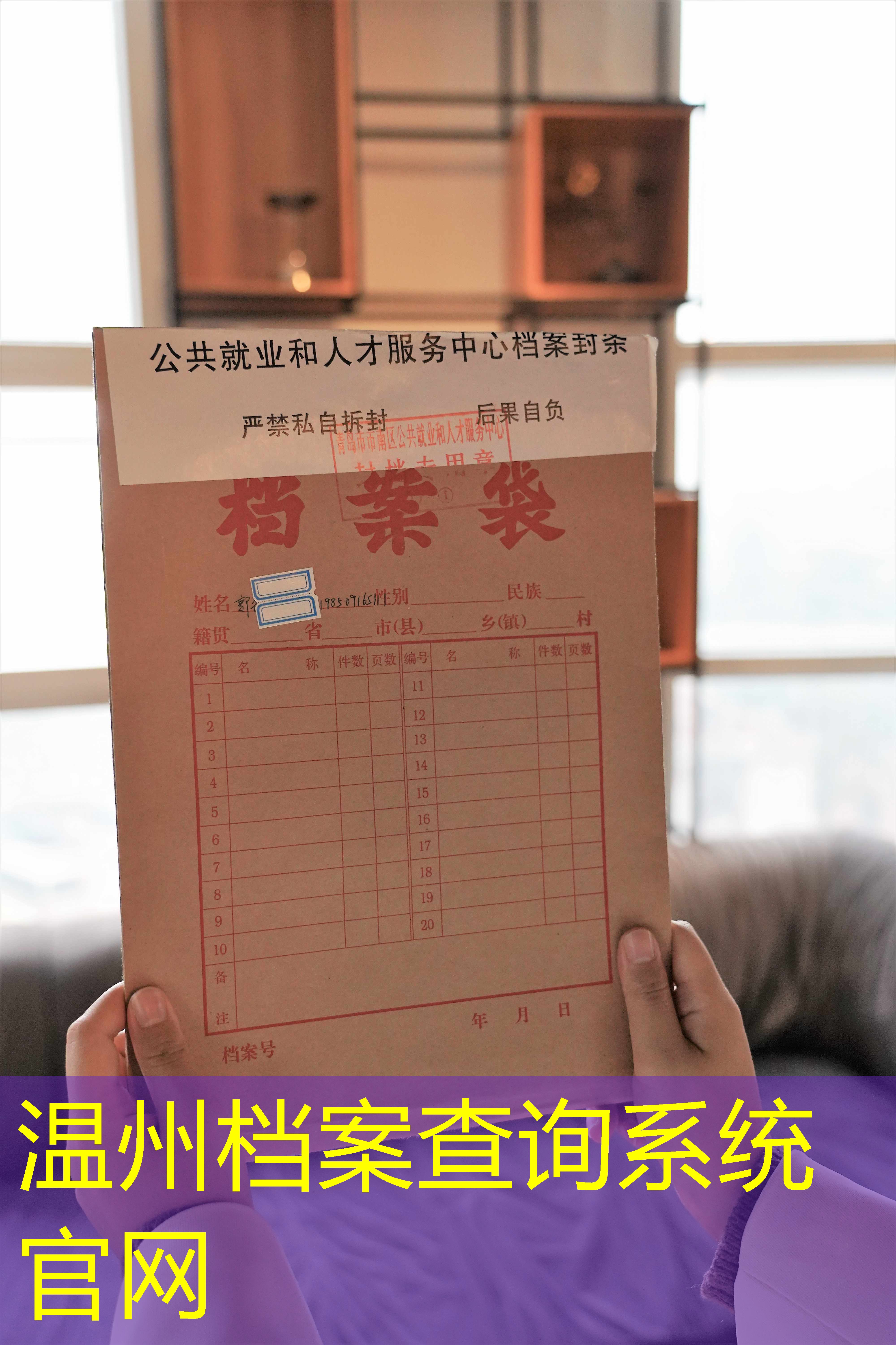档案查询