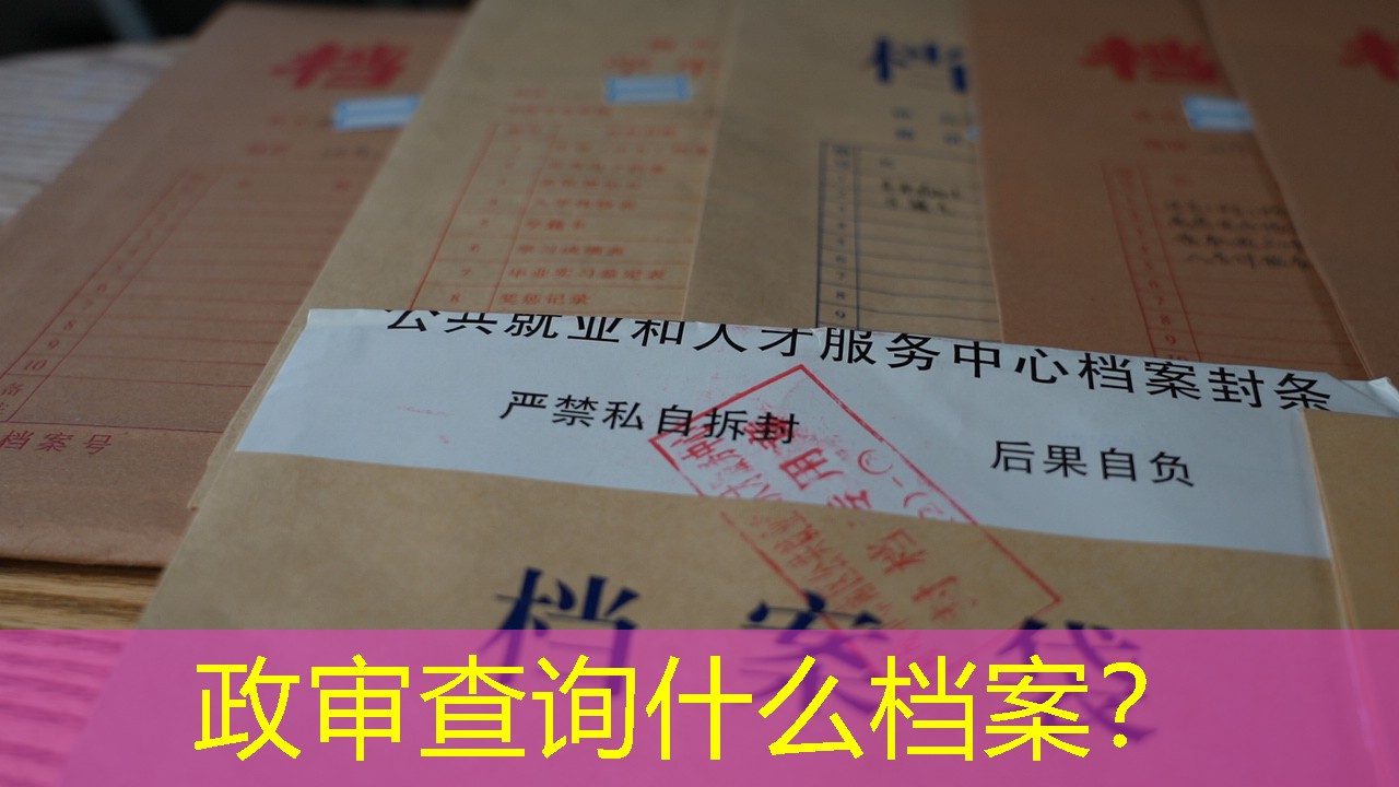 档案查询