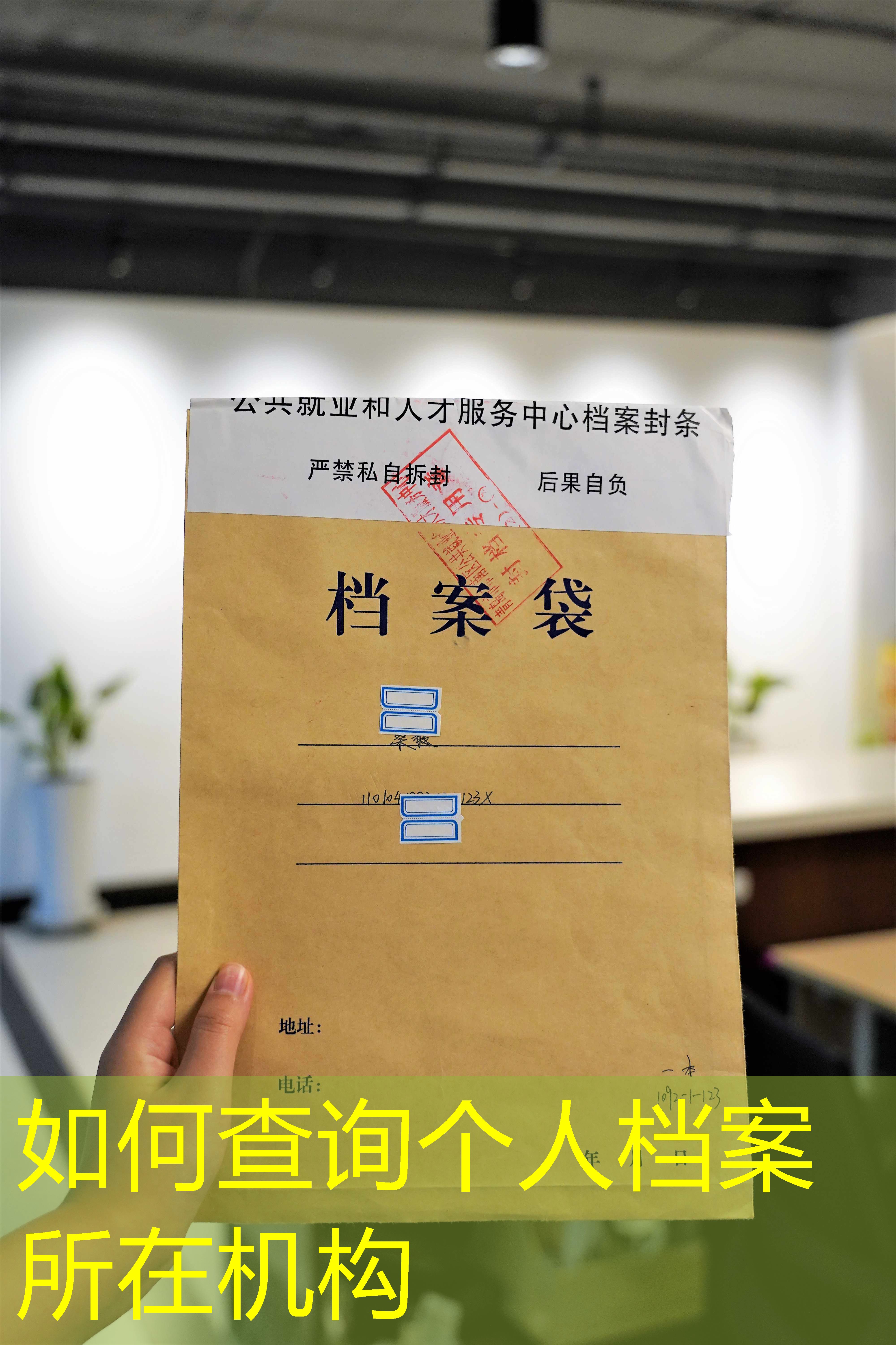 档案查询