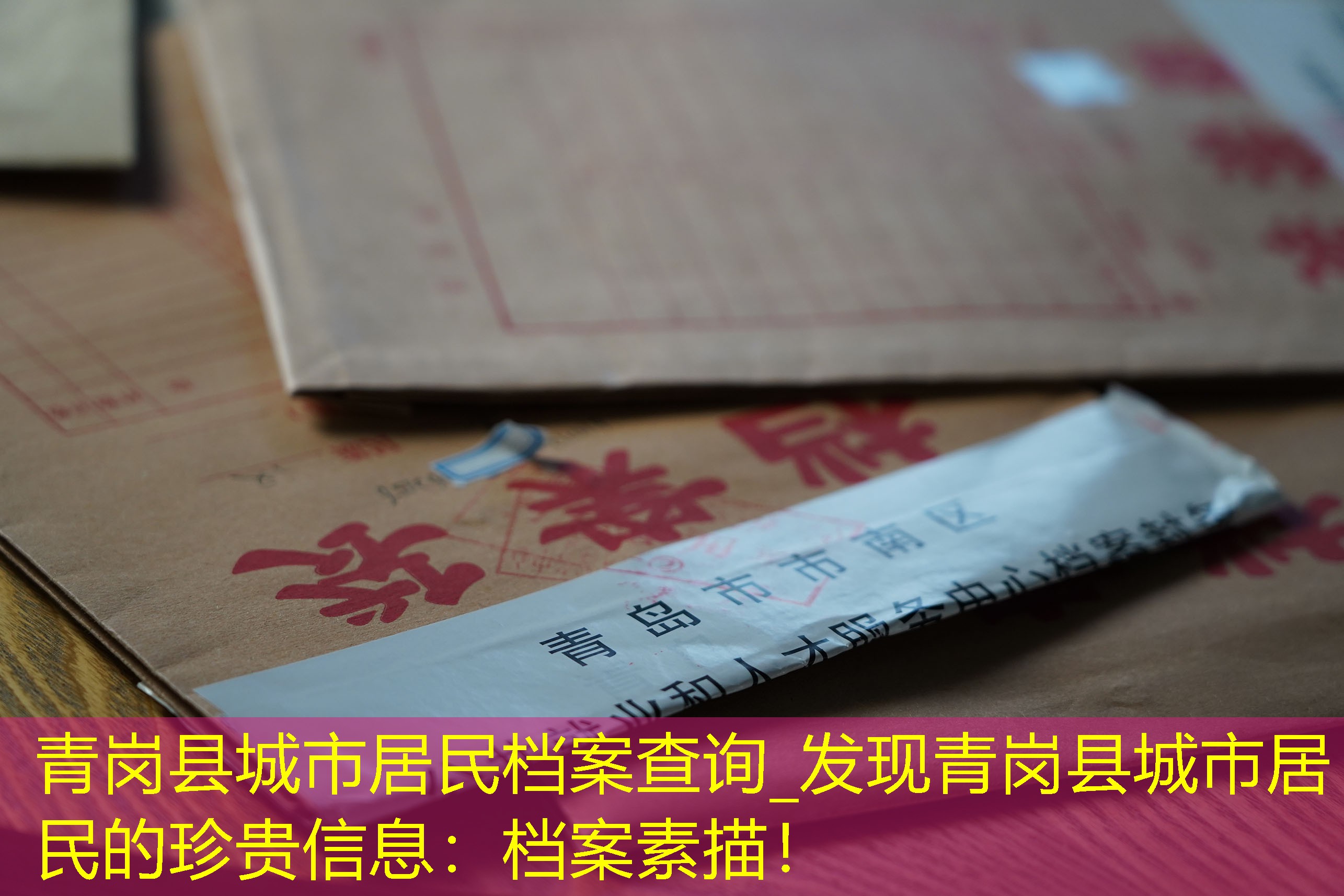 档案查询