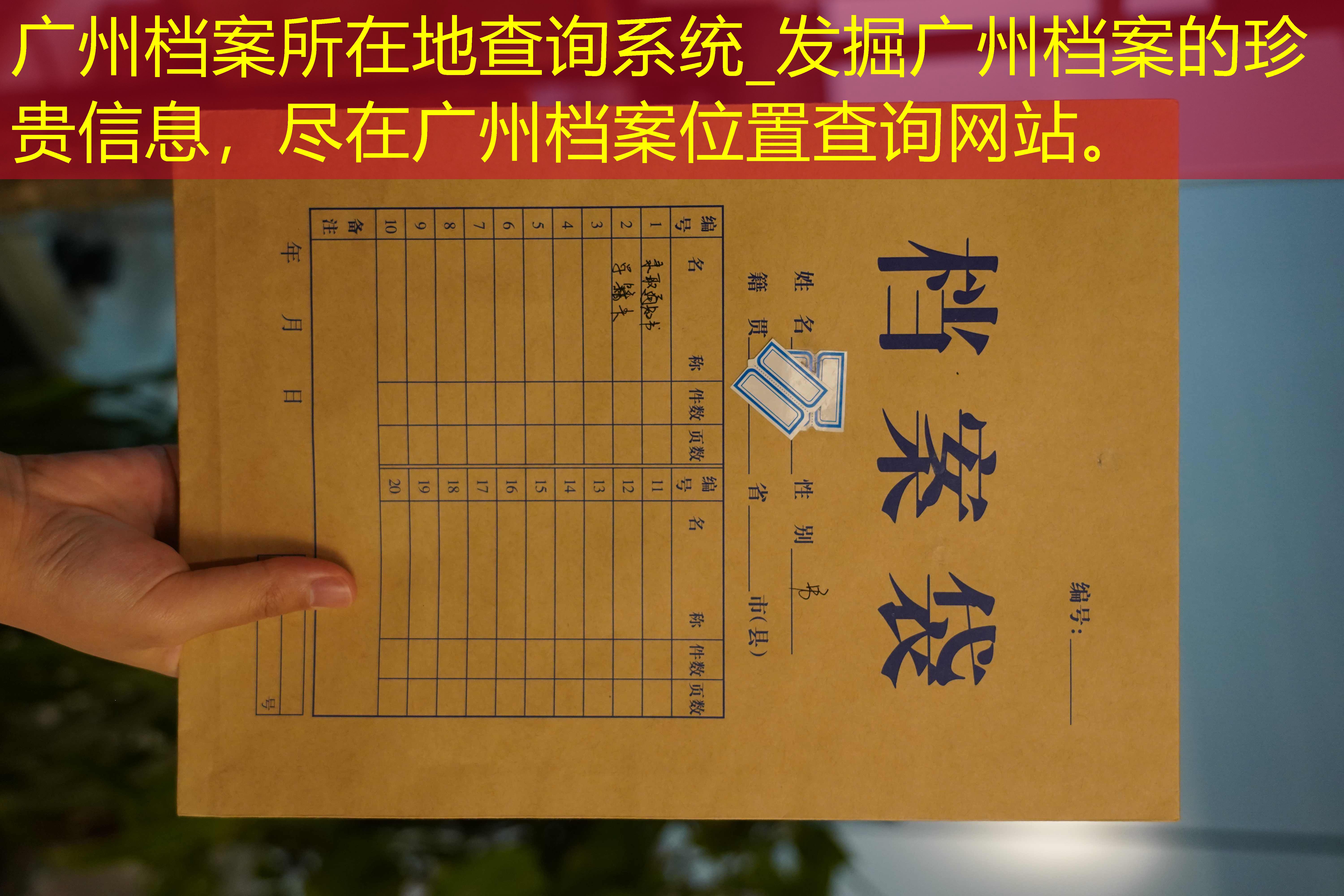 档案查询