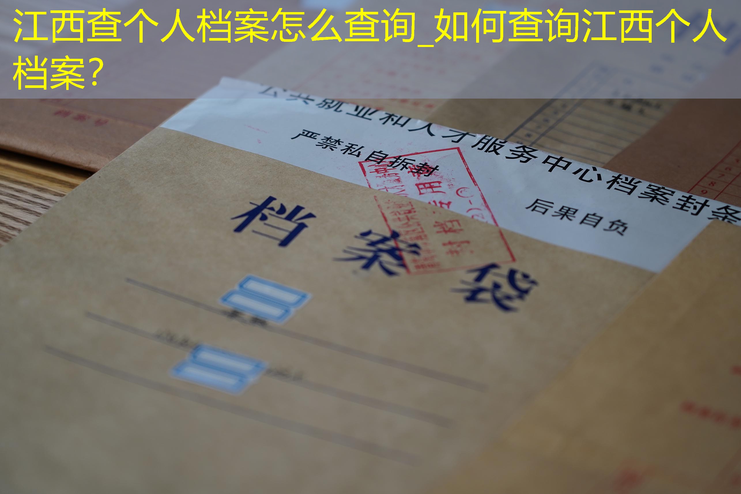 档案查询
