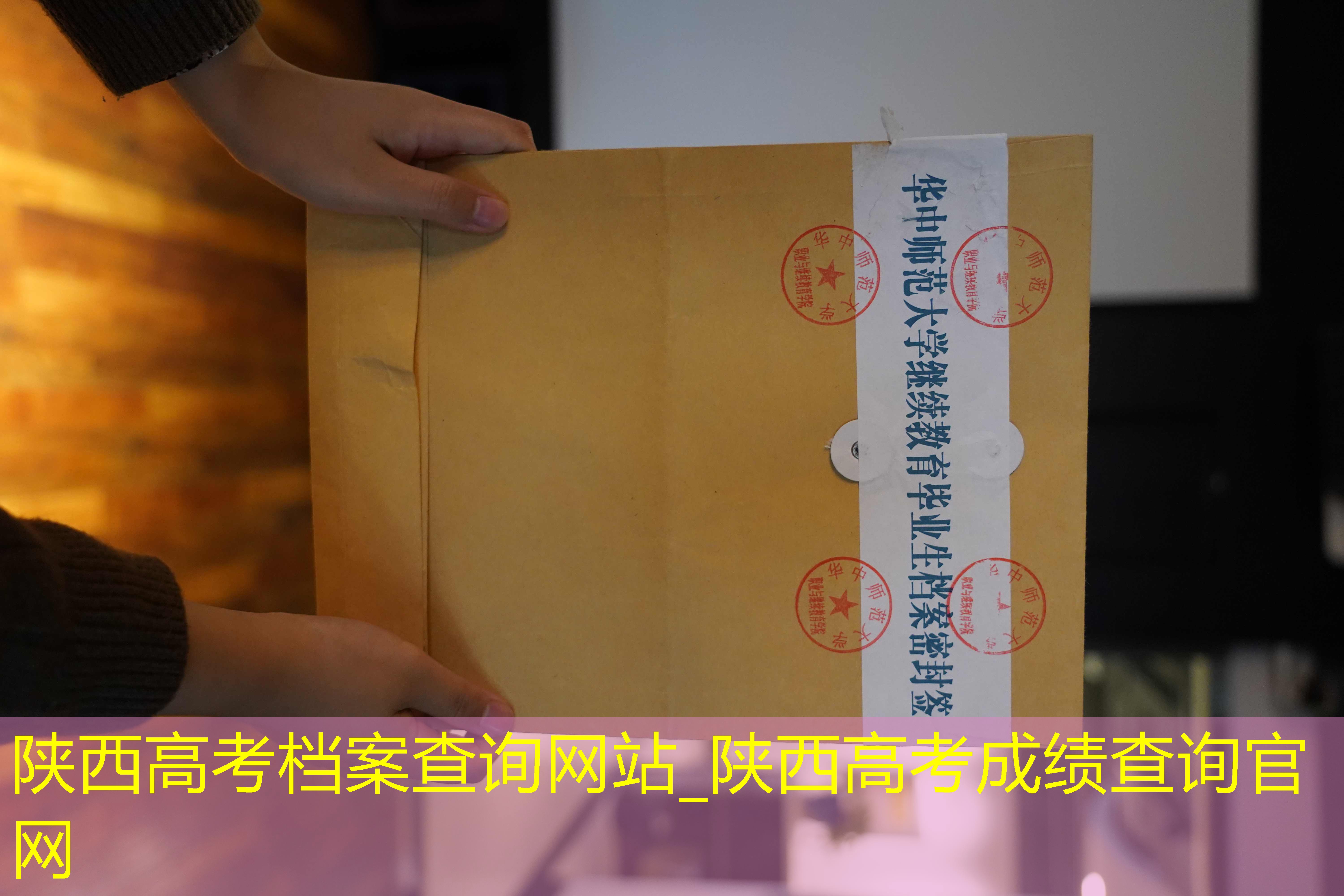 档案查询