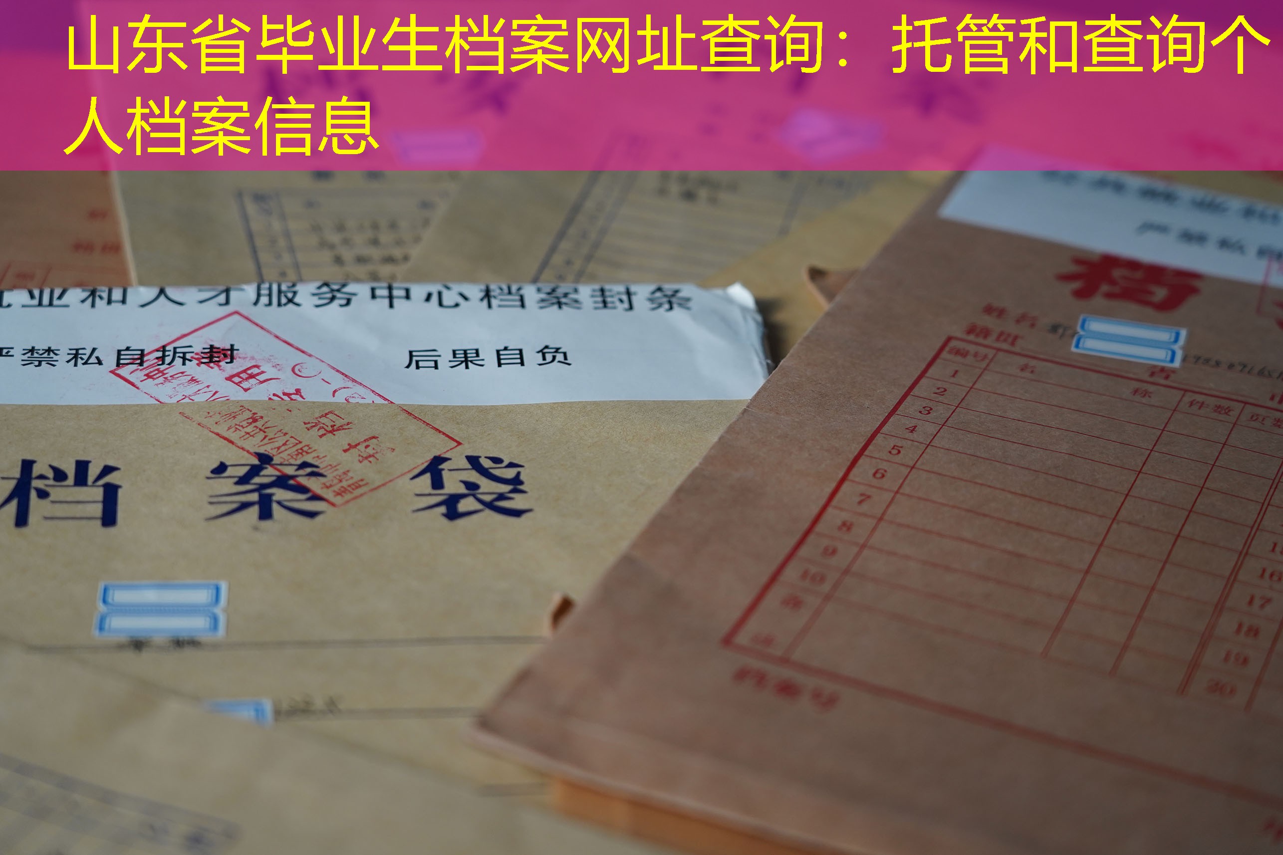 档案查询