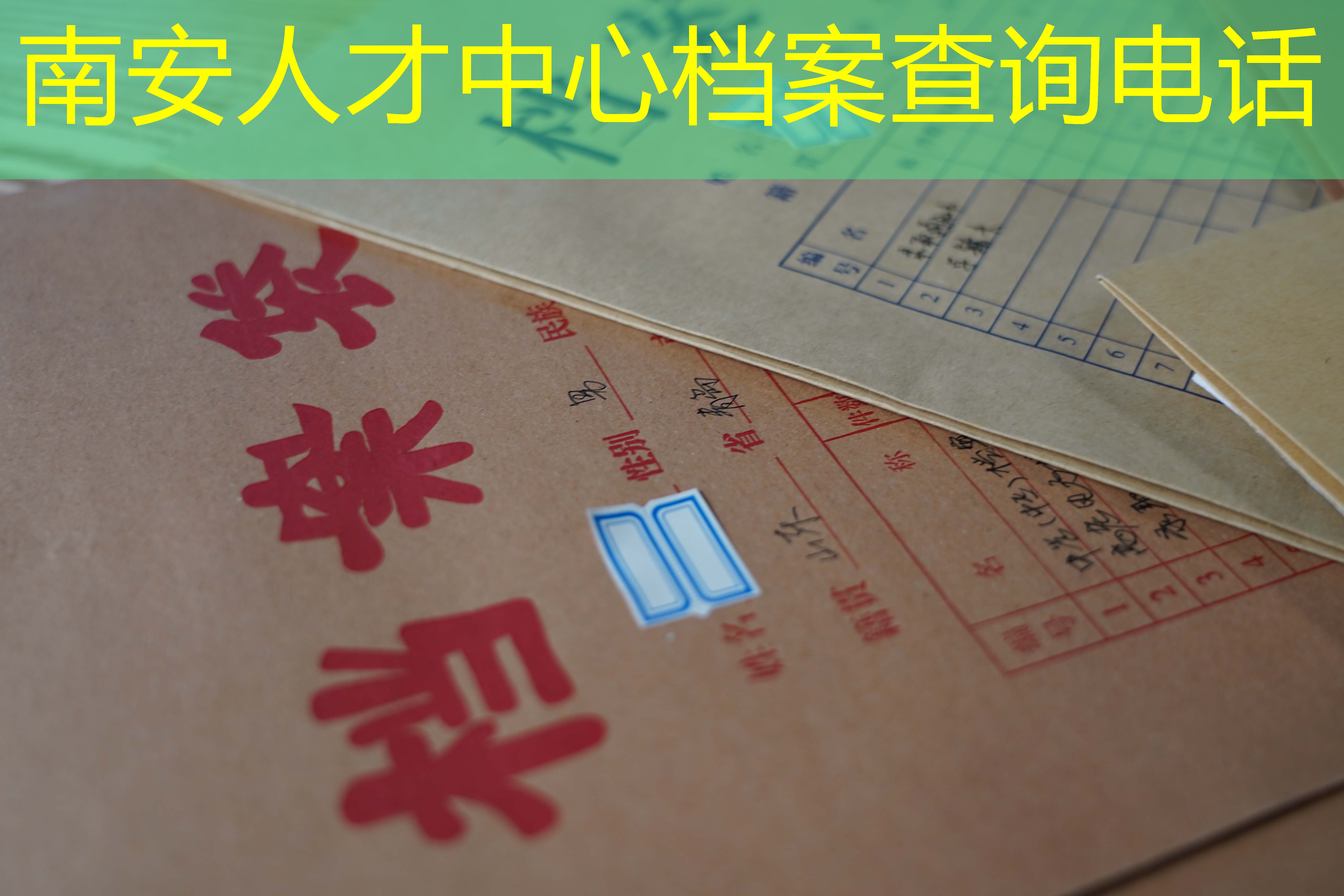 档案查询