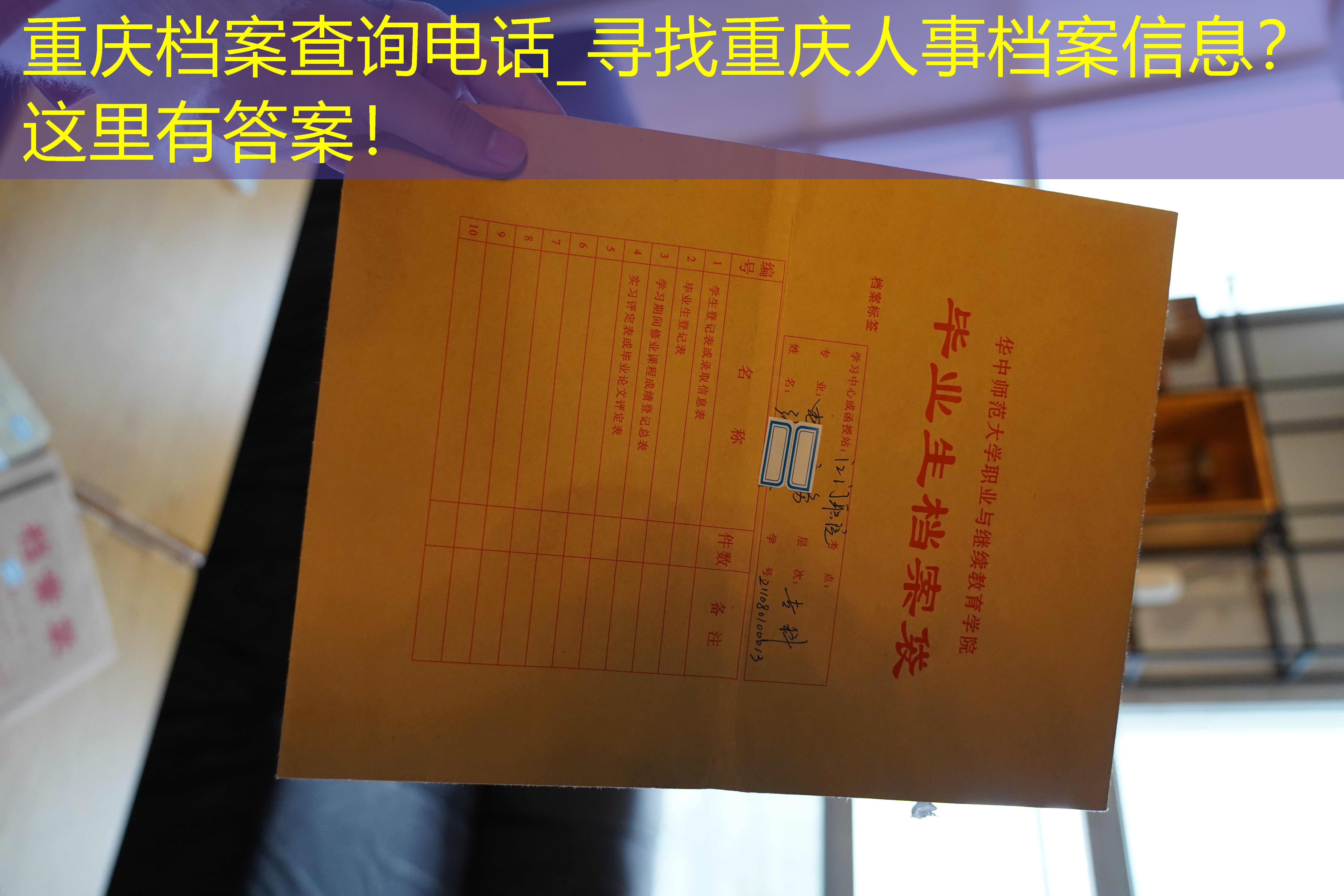档案查询