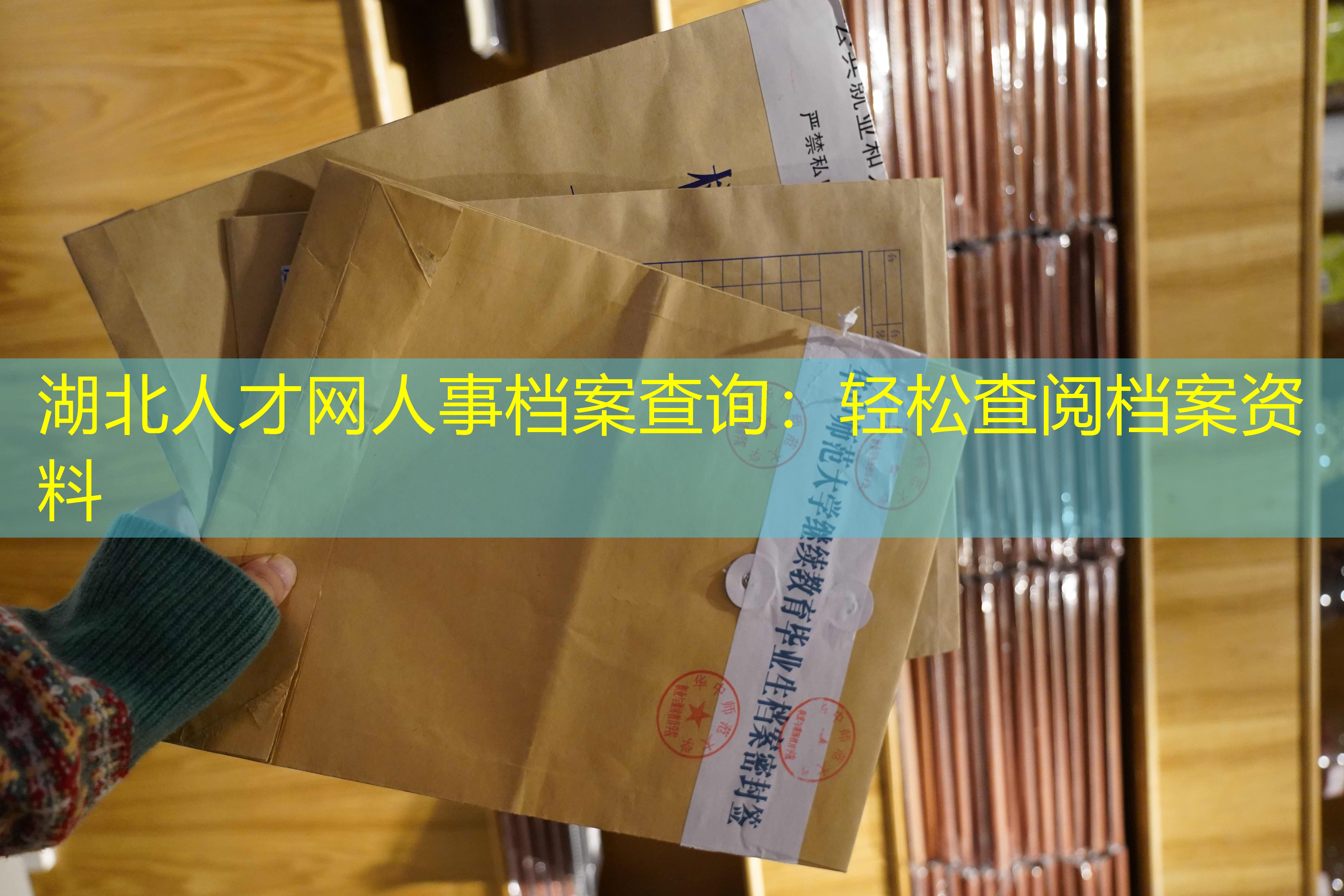档案查询