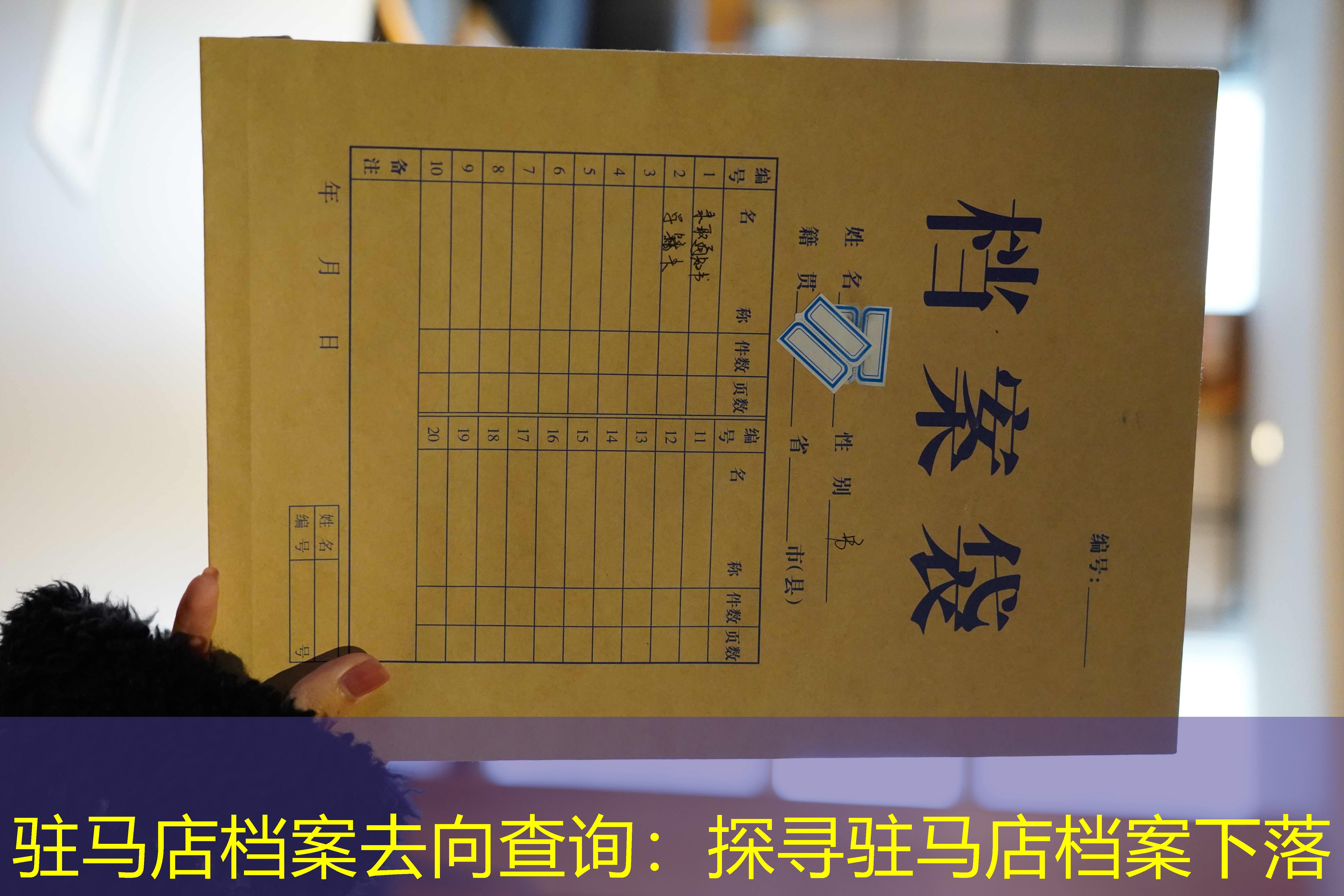 档案查询