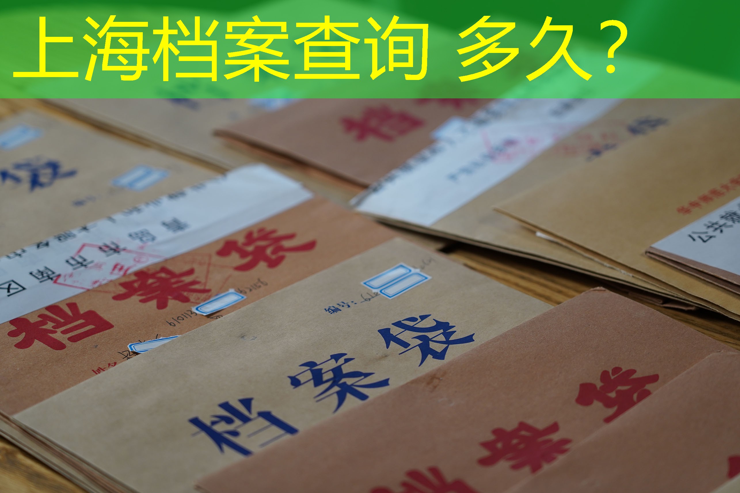 档案查询