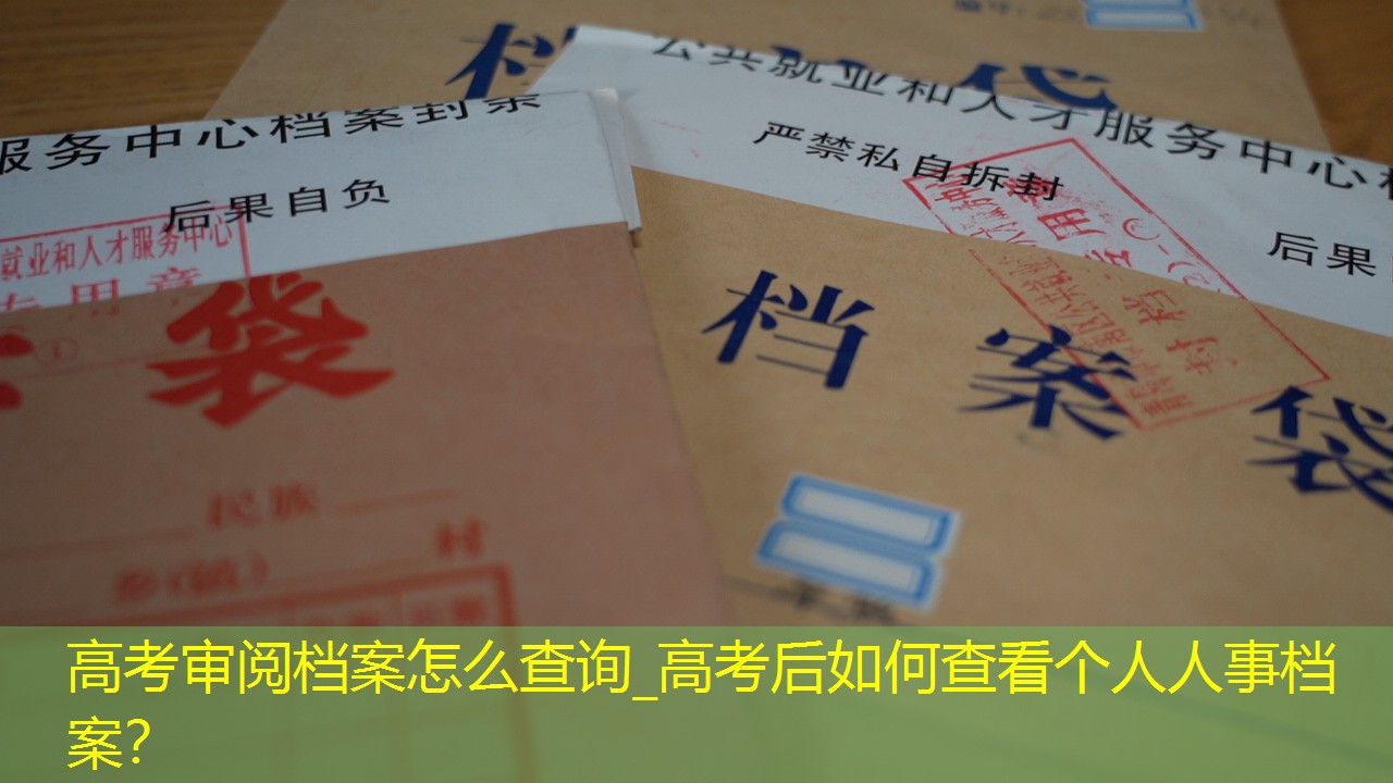 档案查询