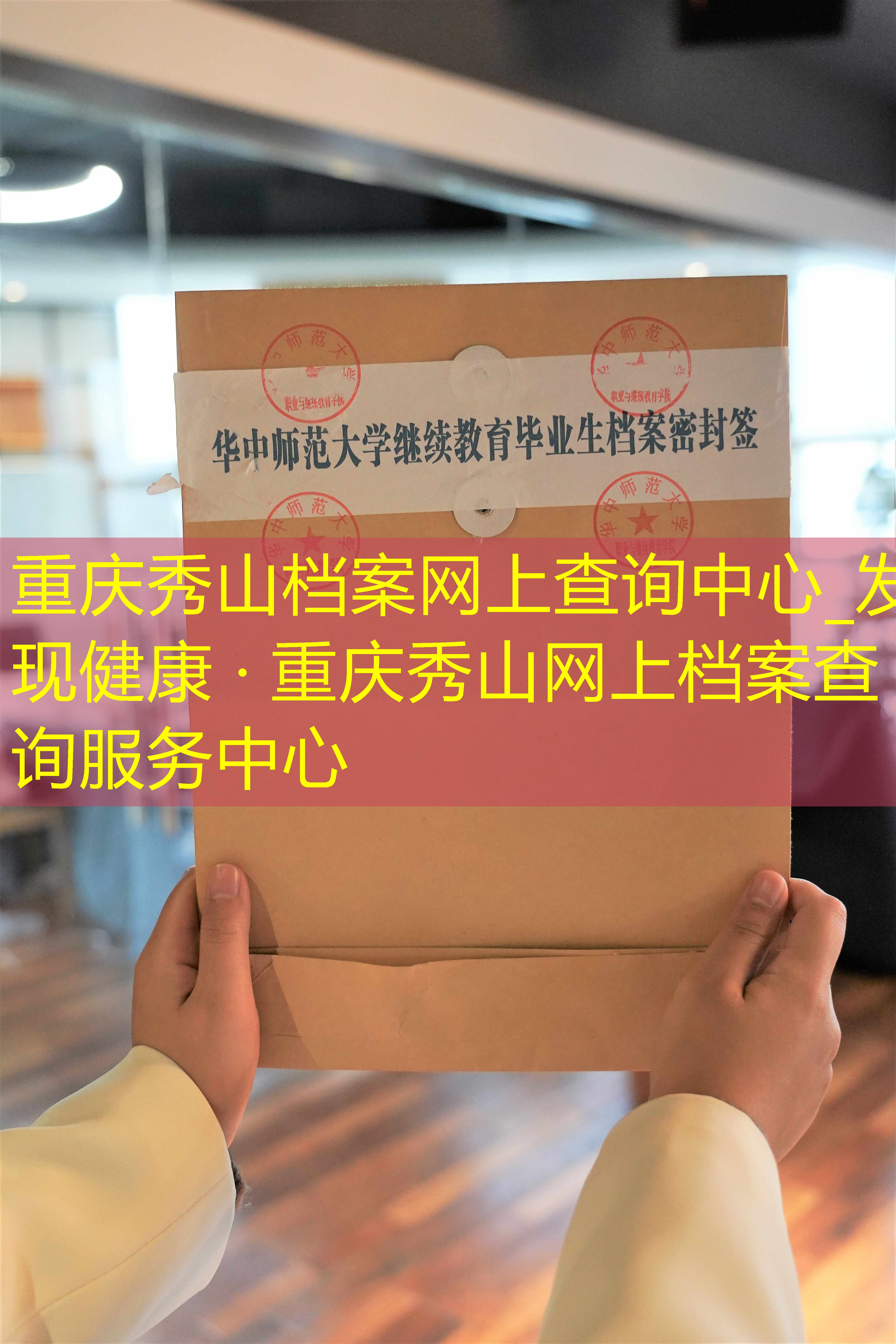 档案查询