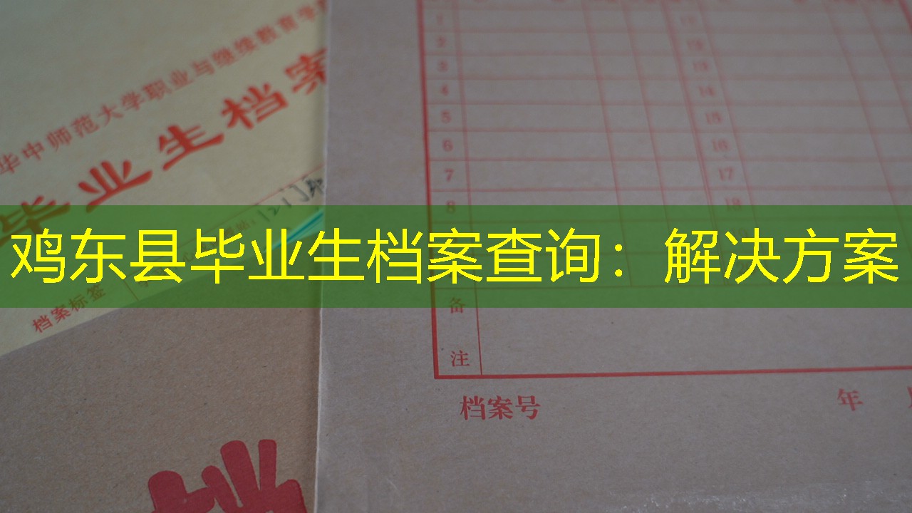 档案查询