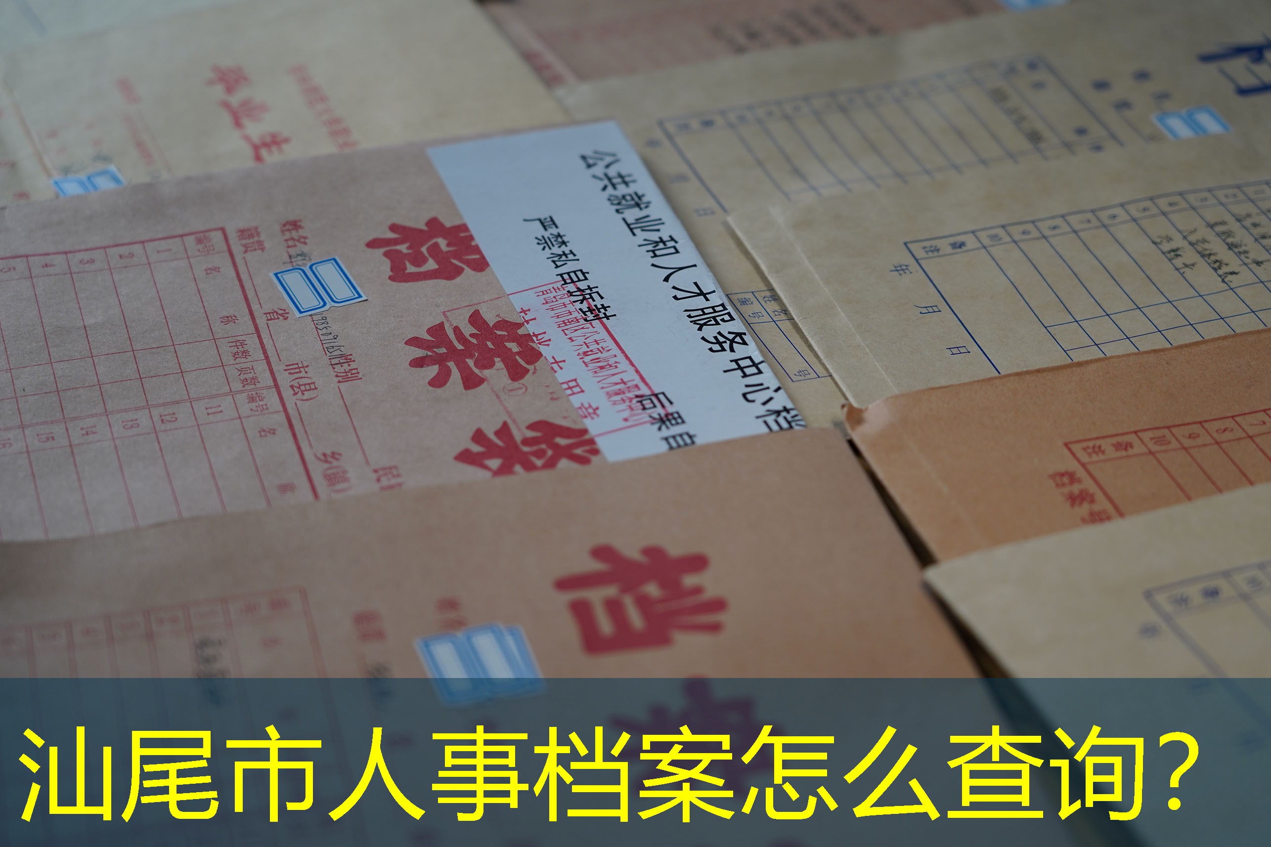 档案查询