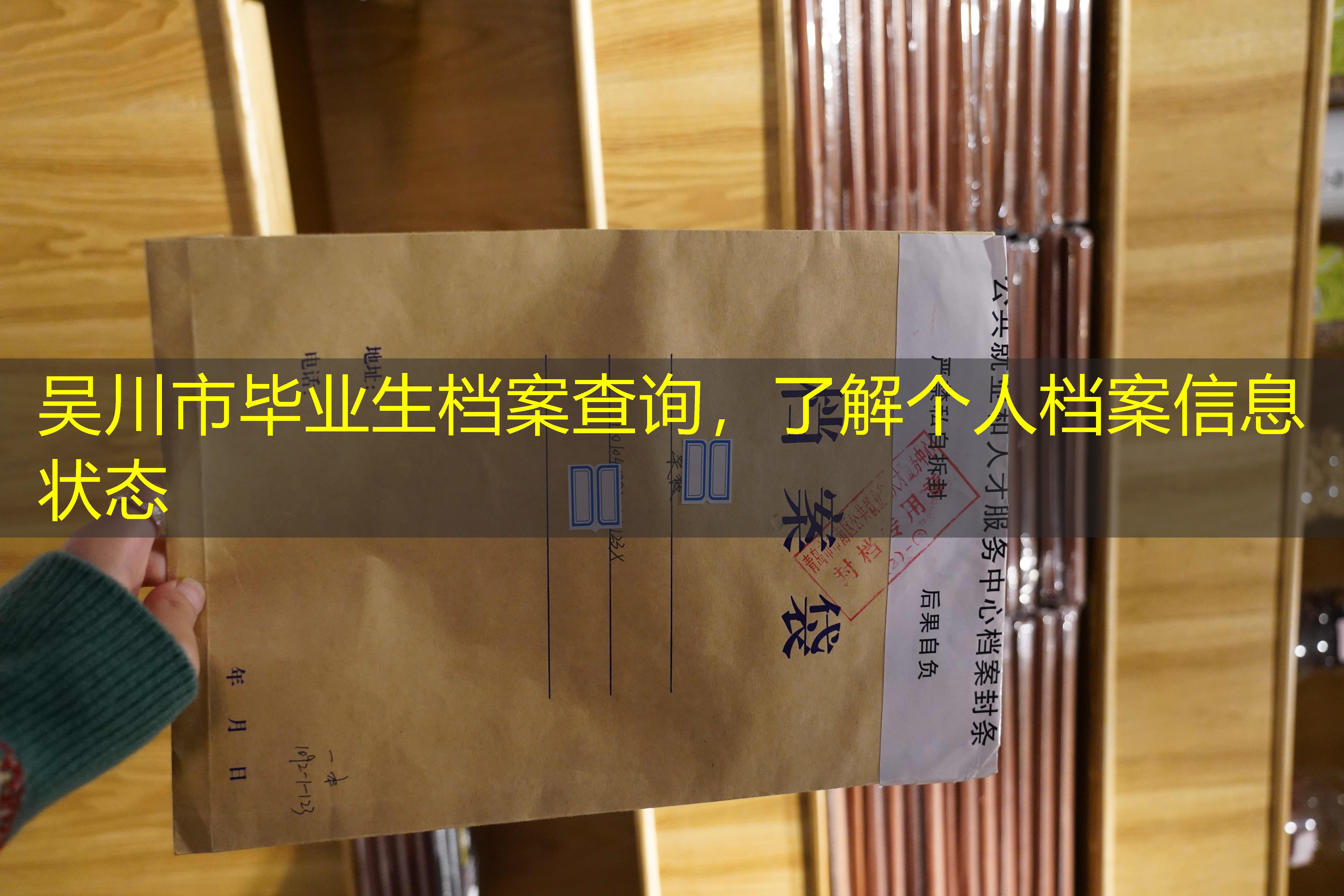 档案查询