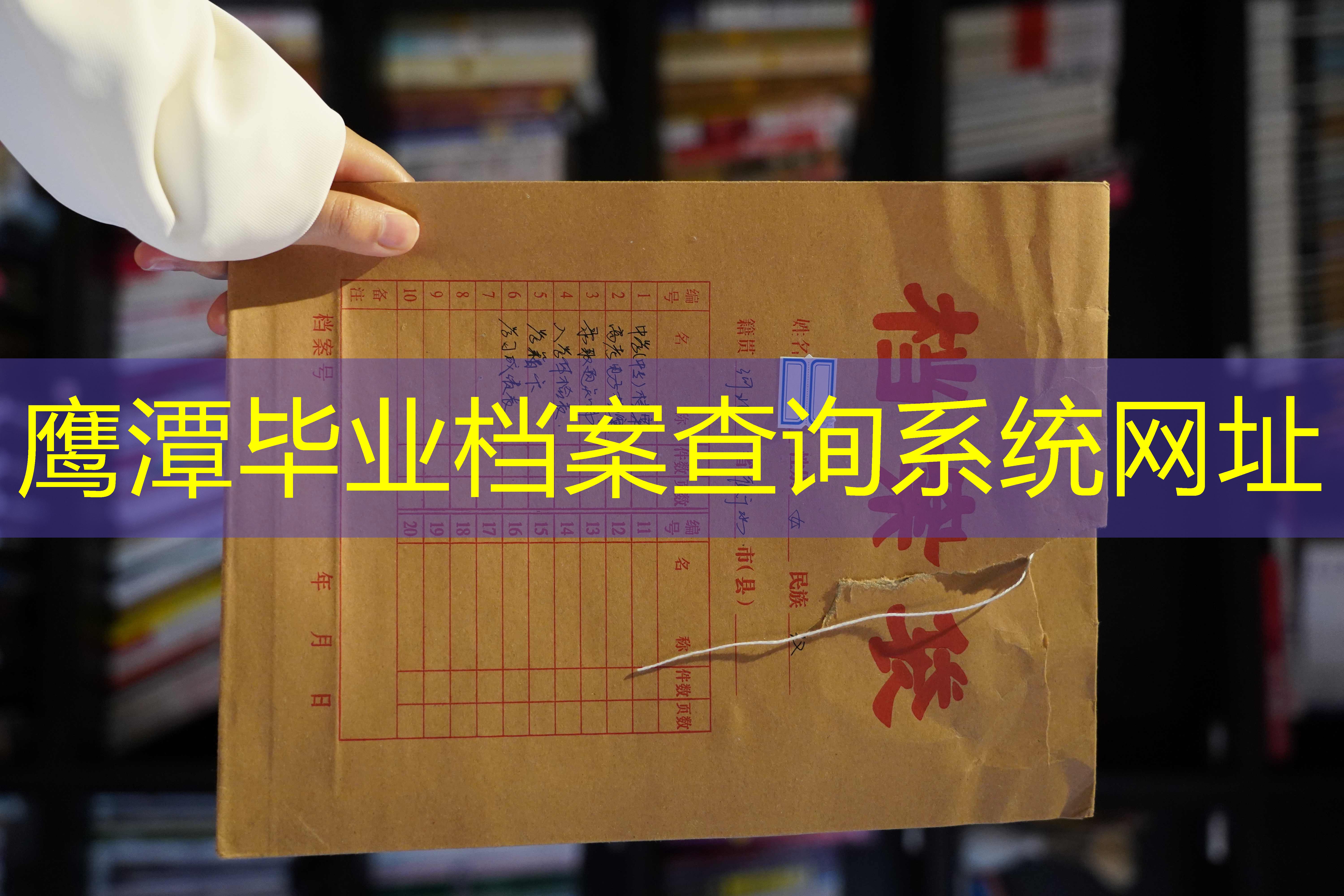 档案查询