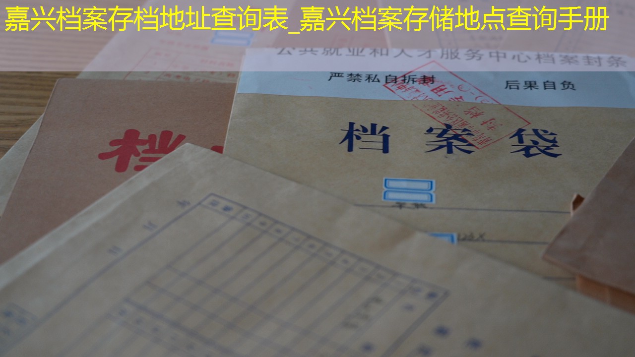 档案查询