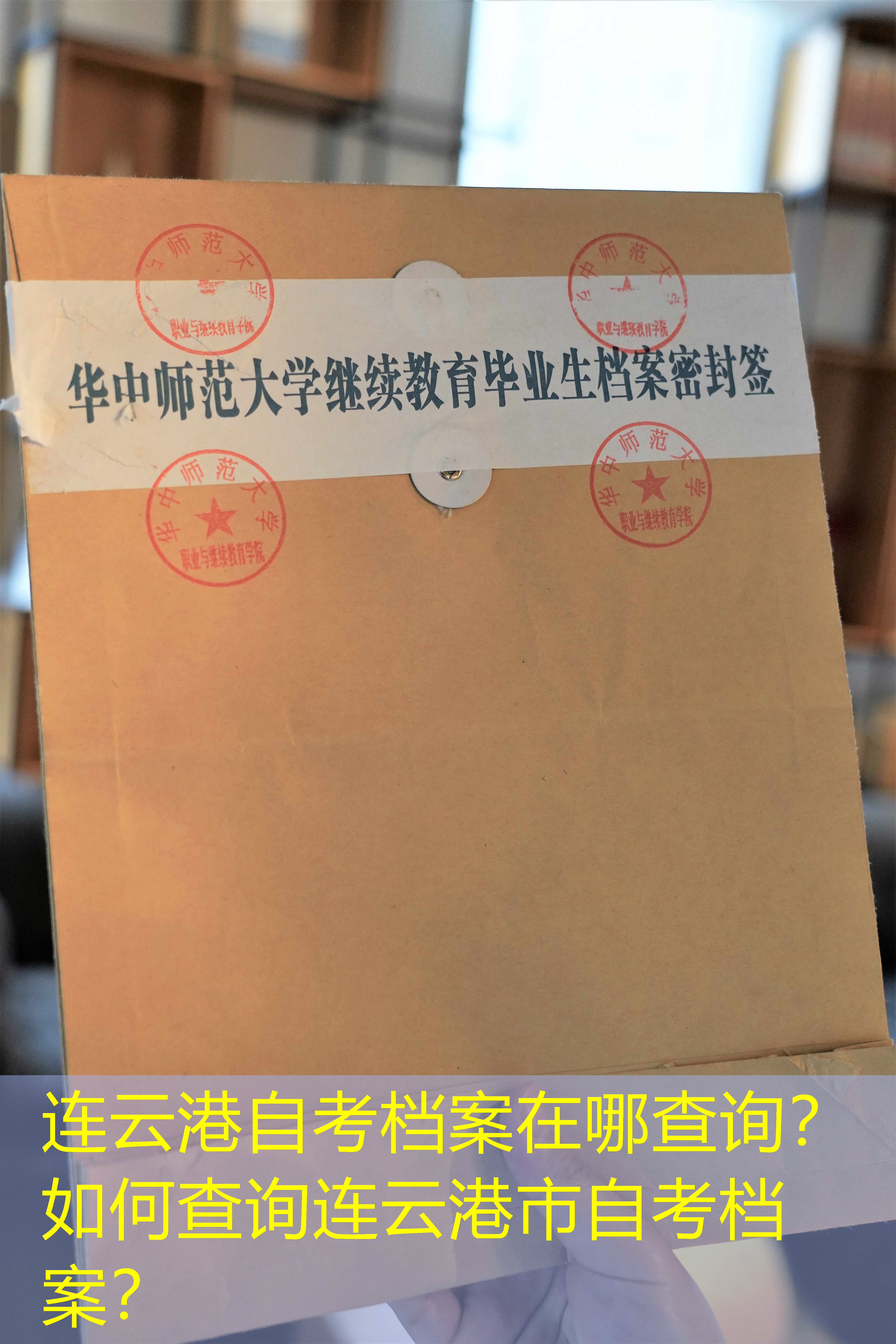 档案查询