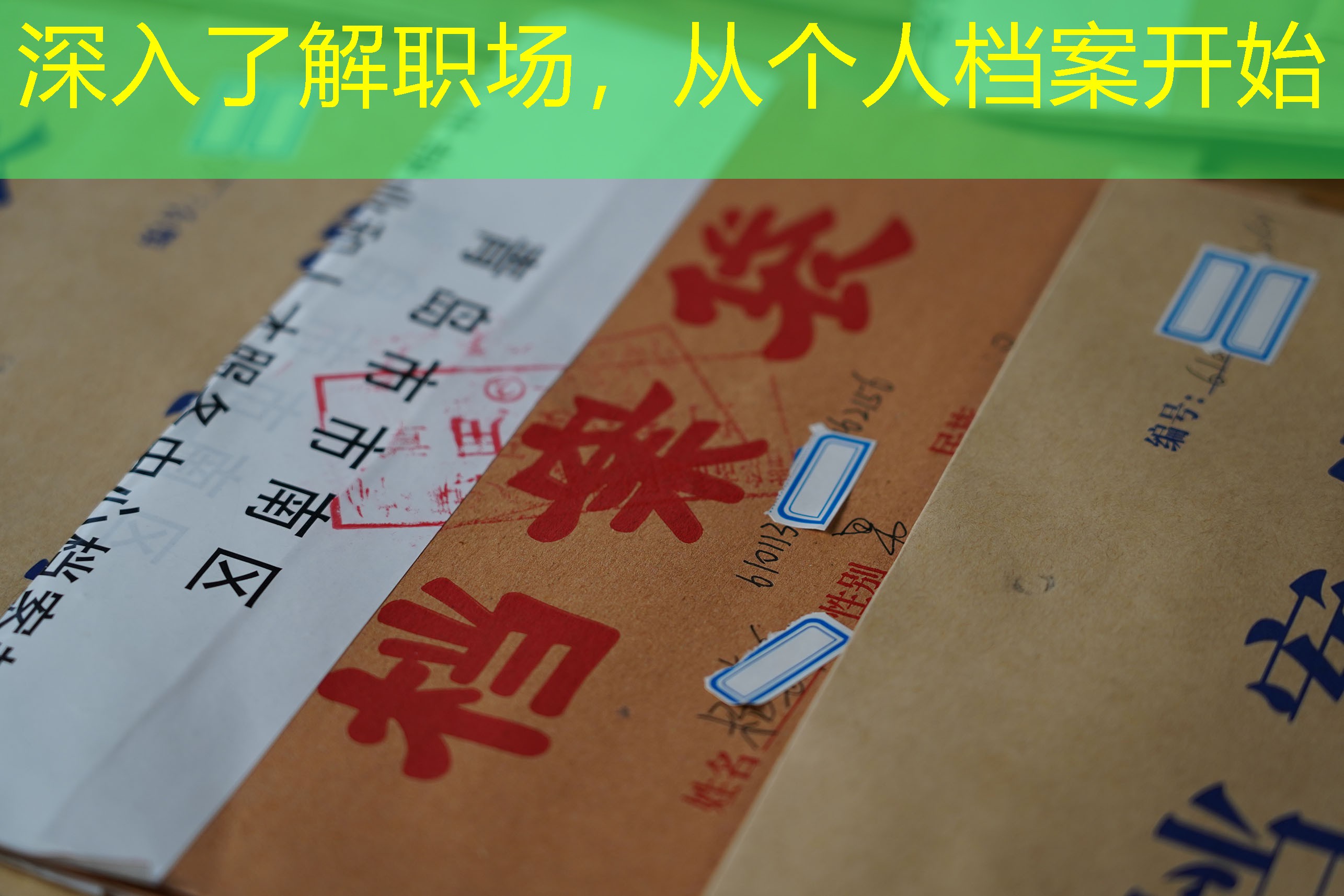 档案查询