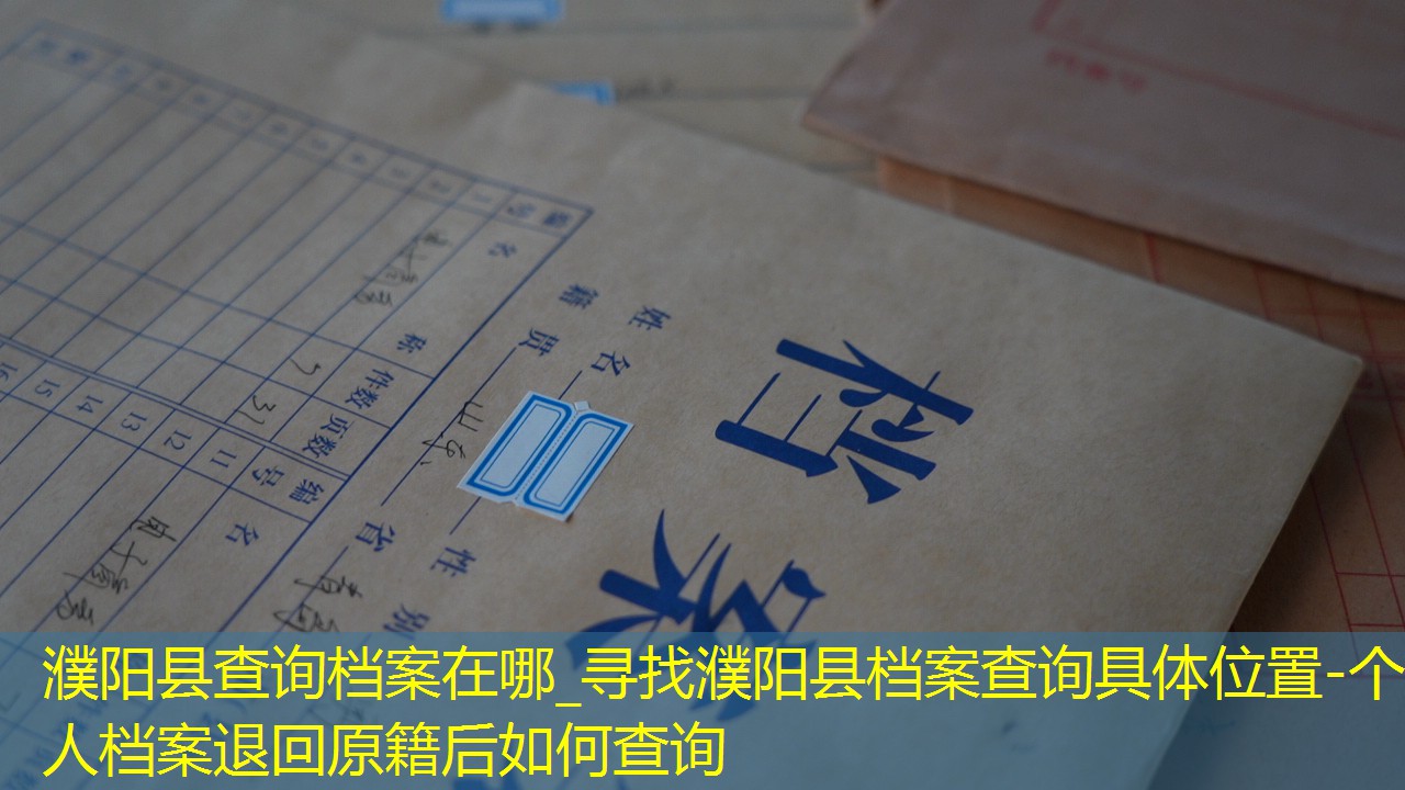档案查询