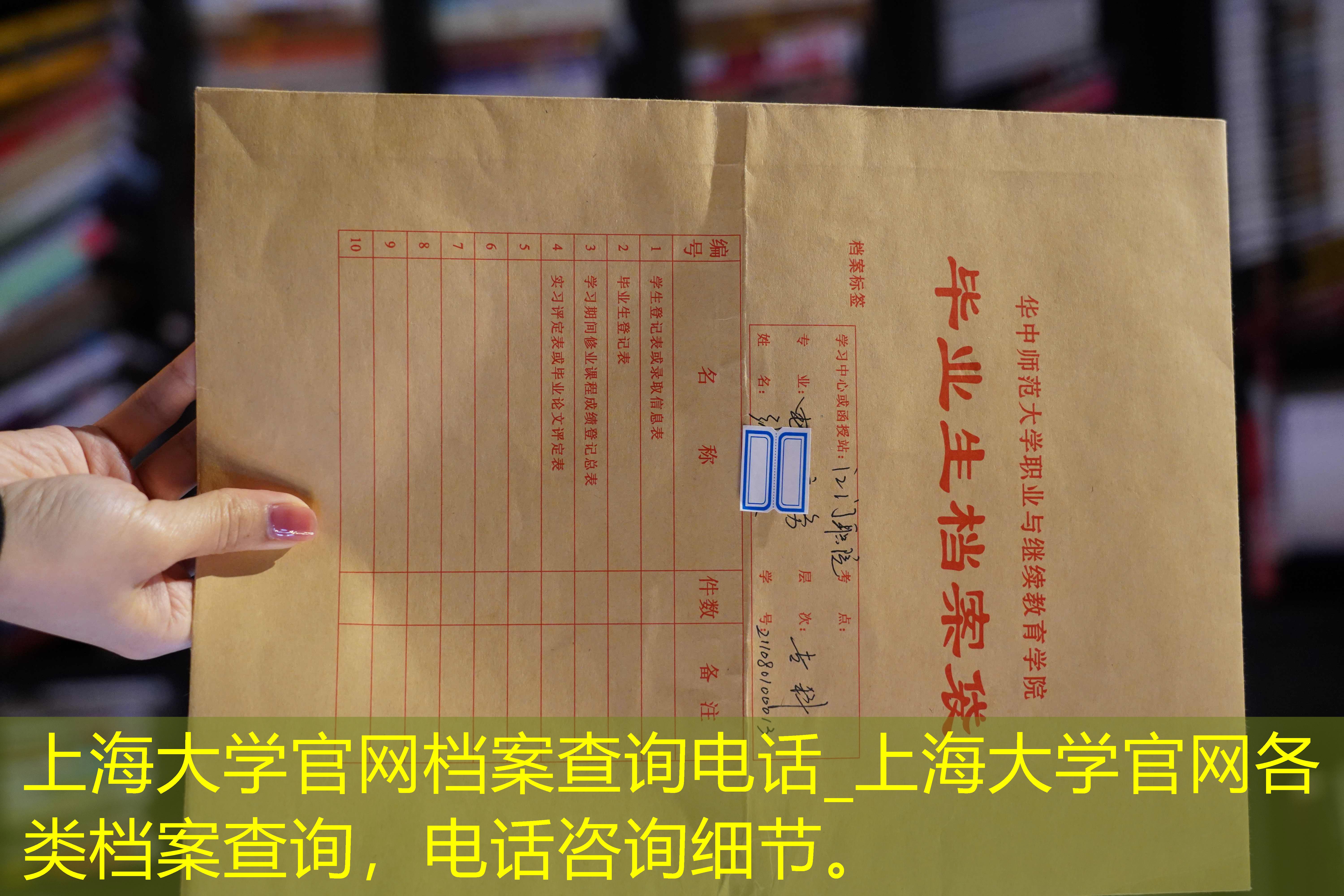 档案查询