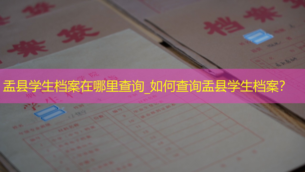 档案查询