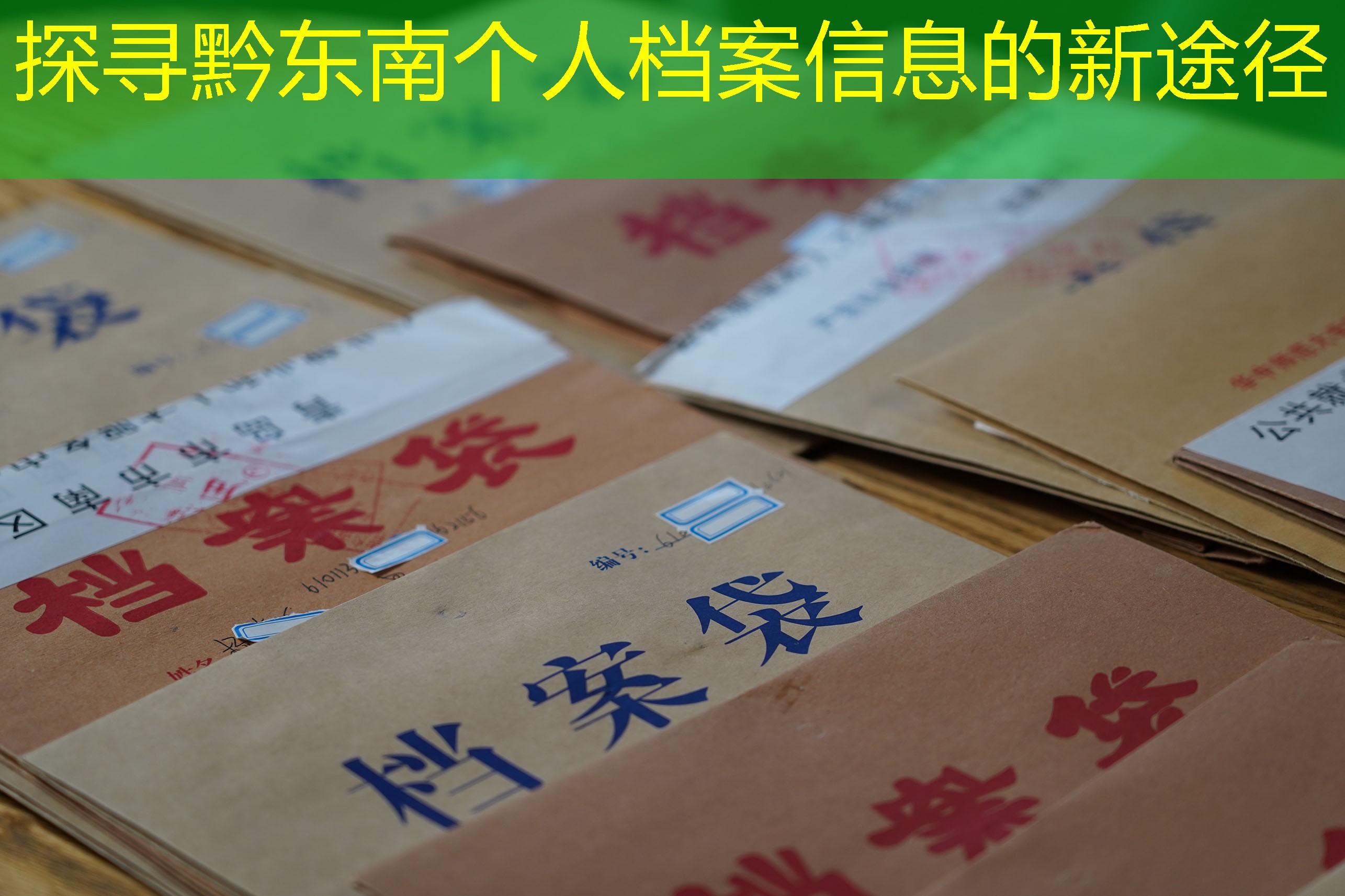 档案查询