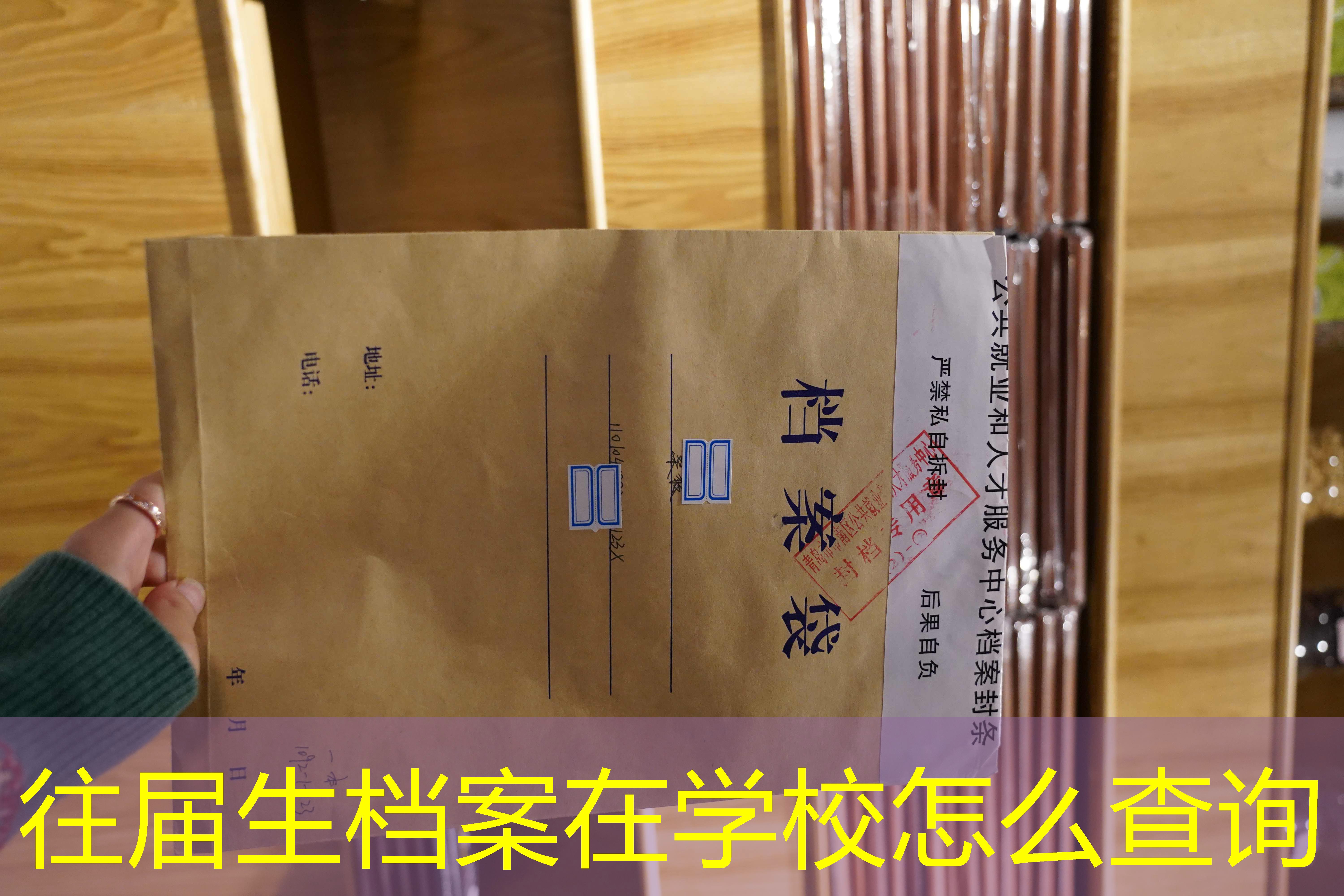档案查询