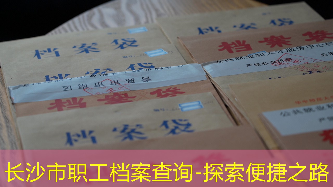 档案查询