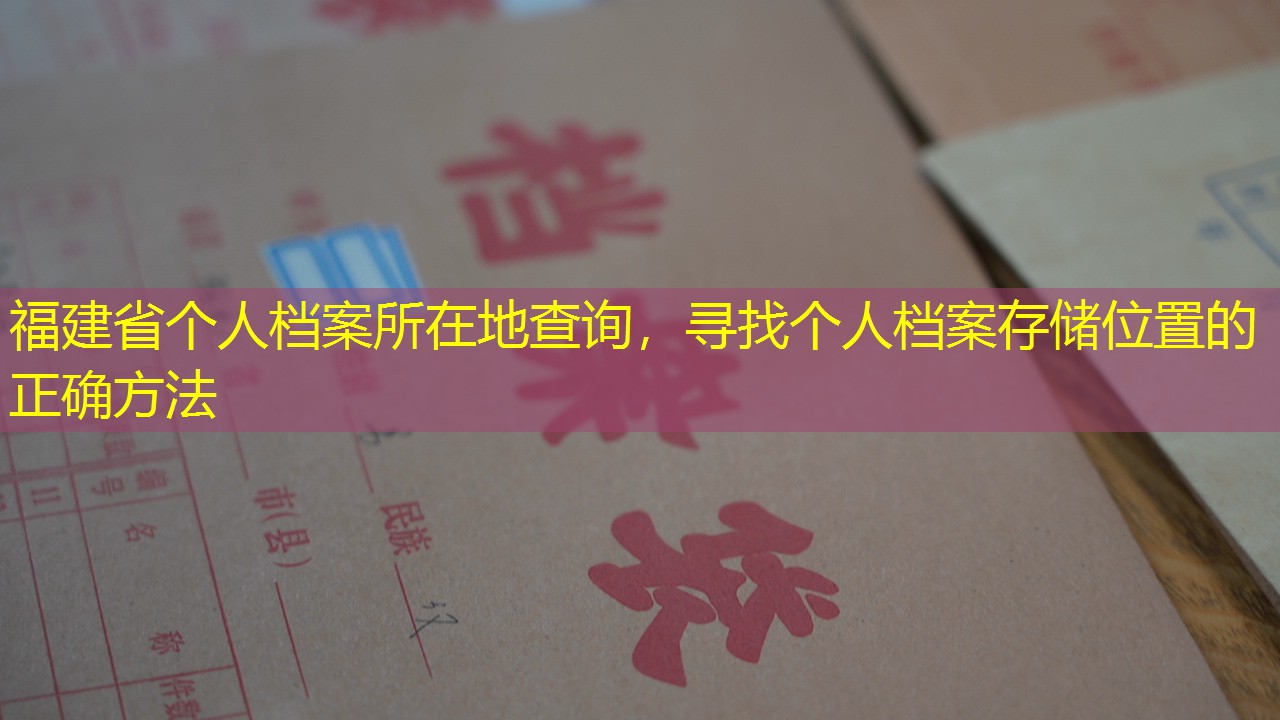档案查询