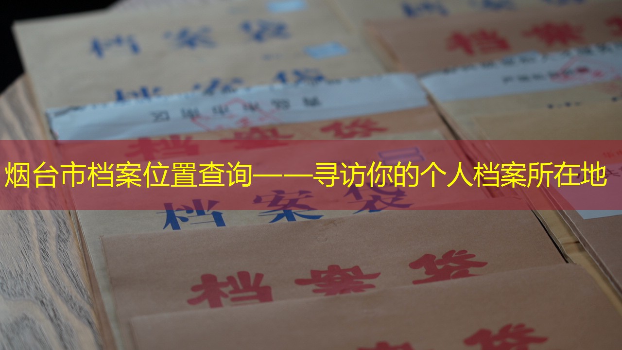 档案查询