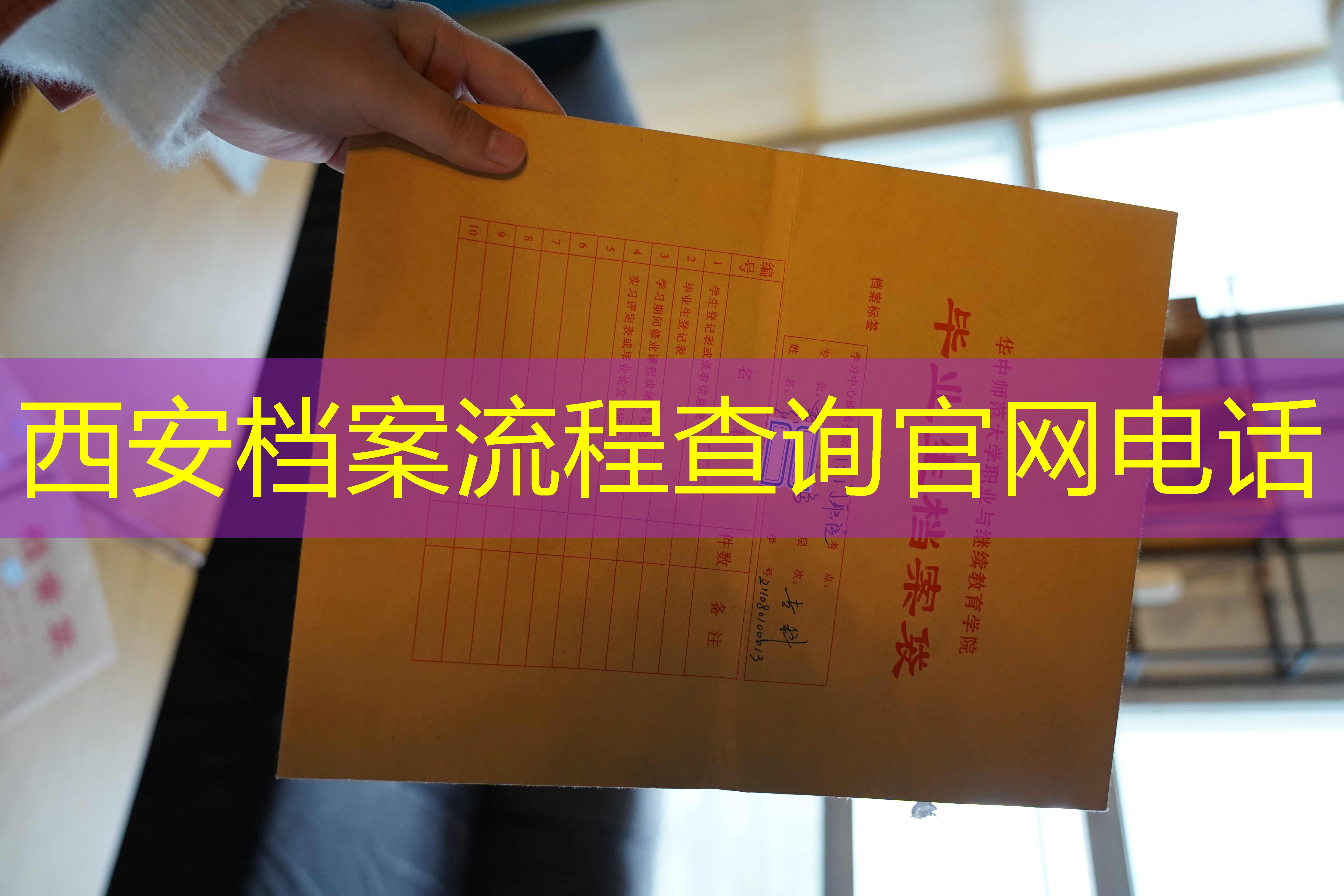 档案查询