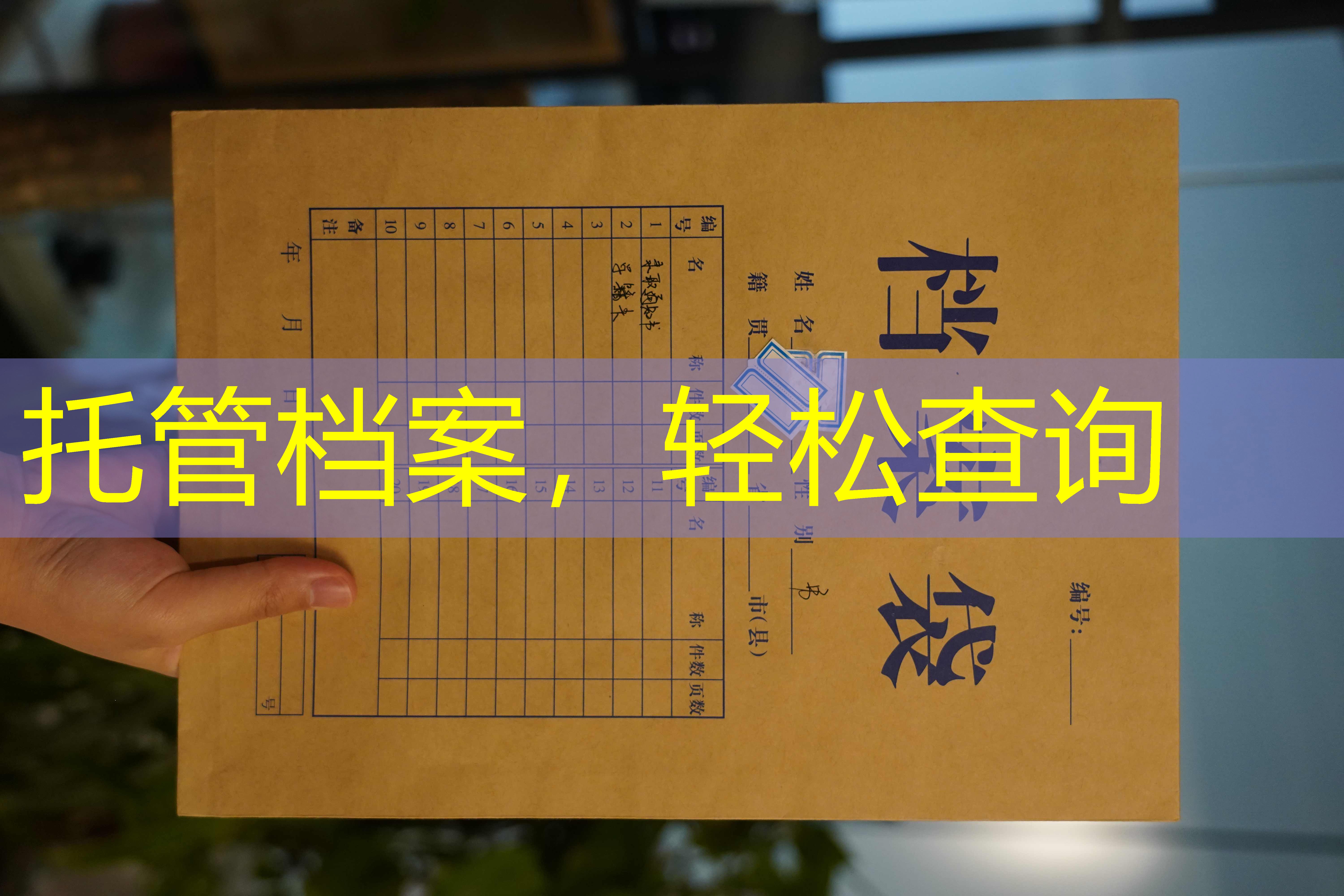 档案查询
