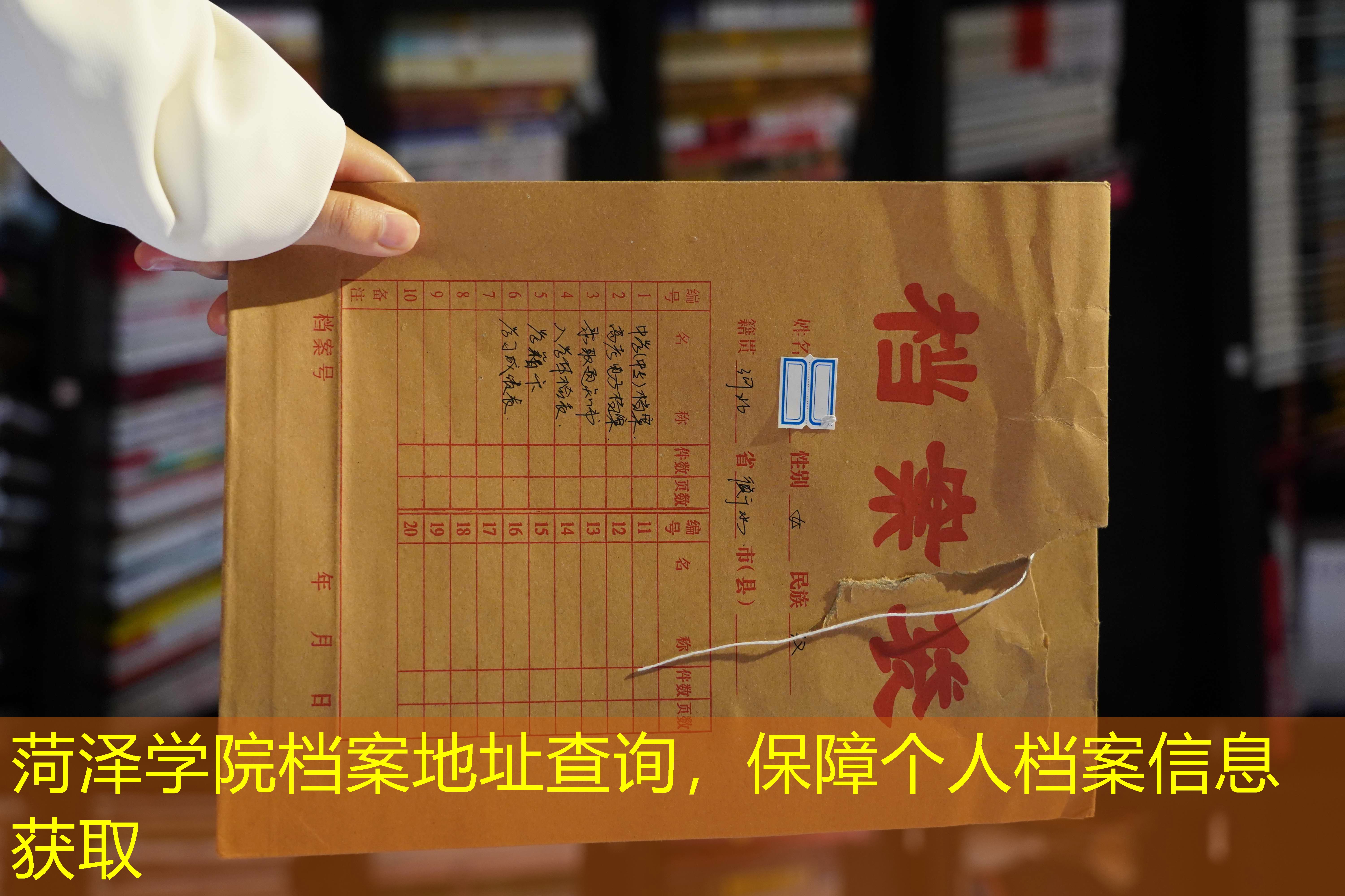 档案查询