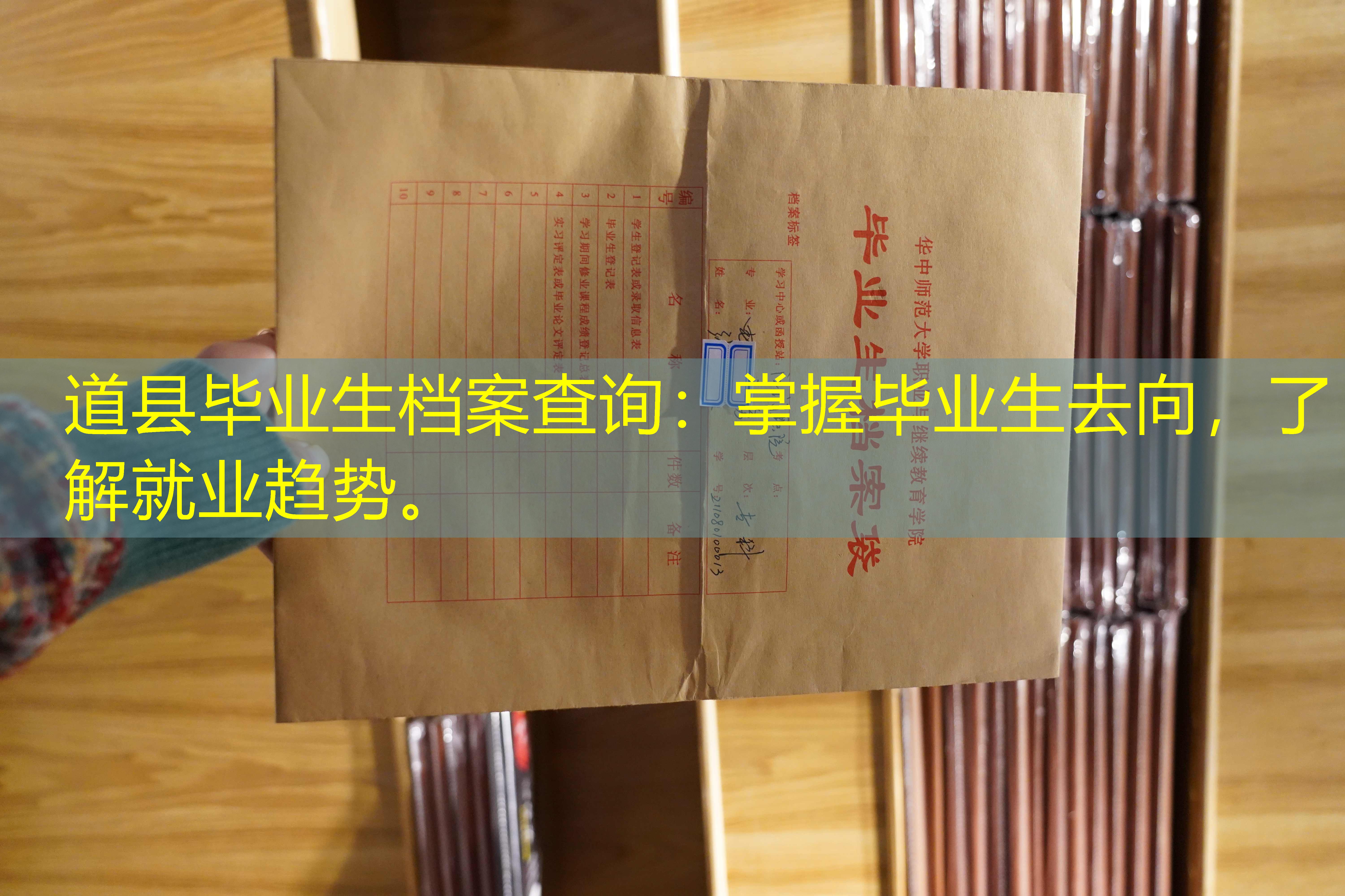 档案查询