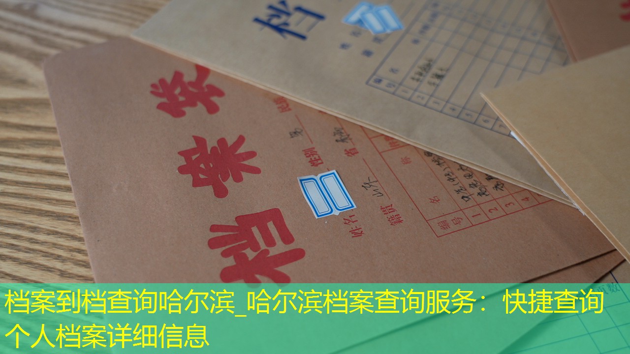 档案查询