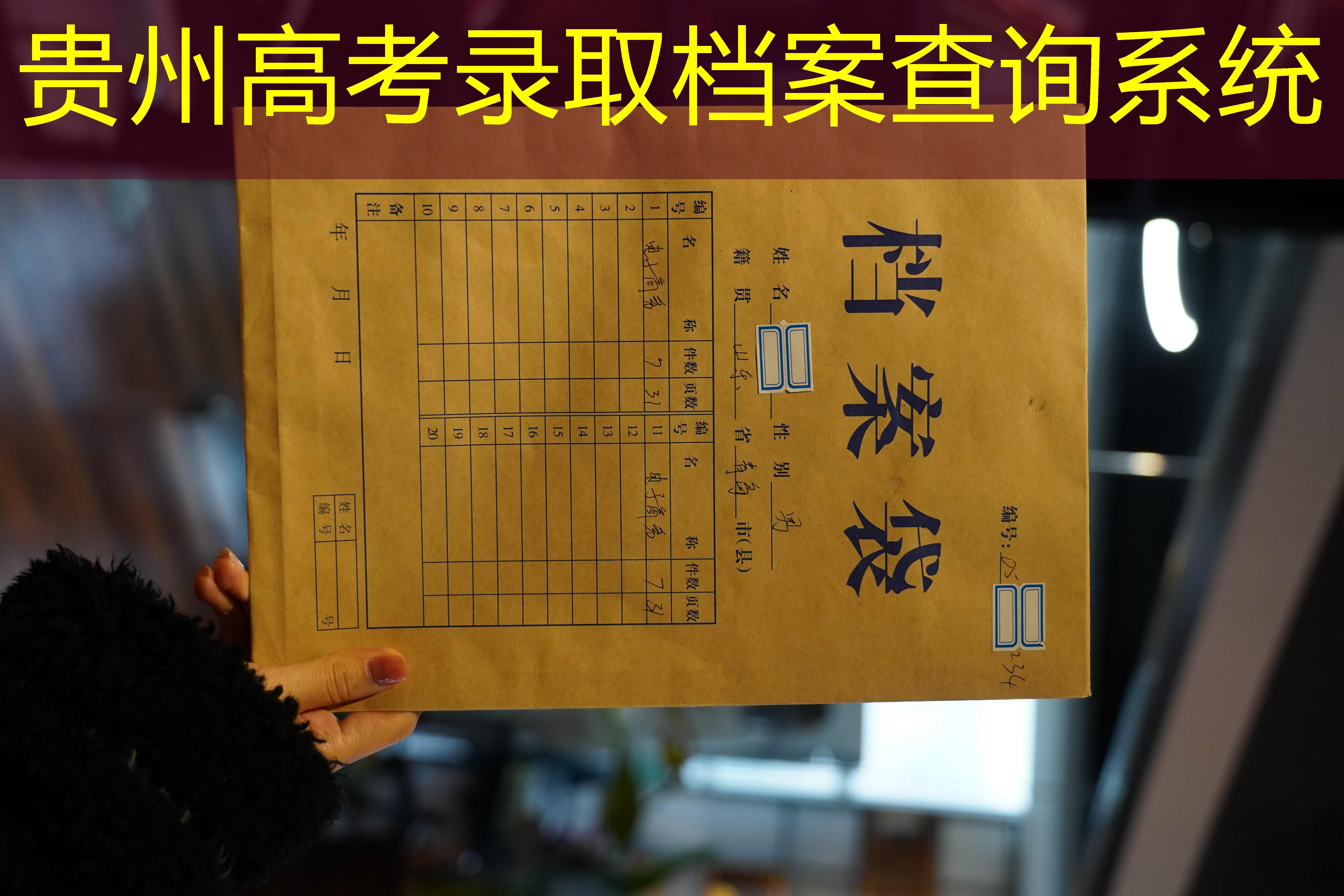 档案查询