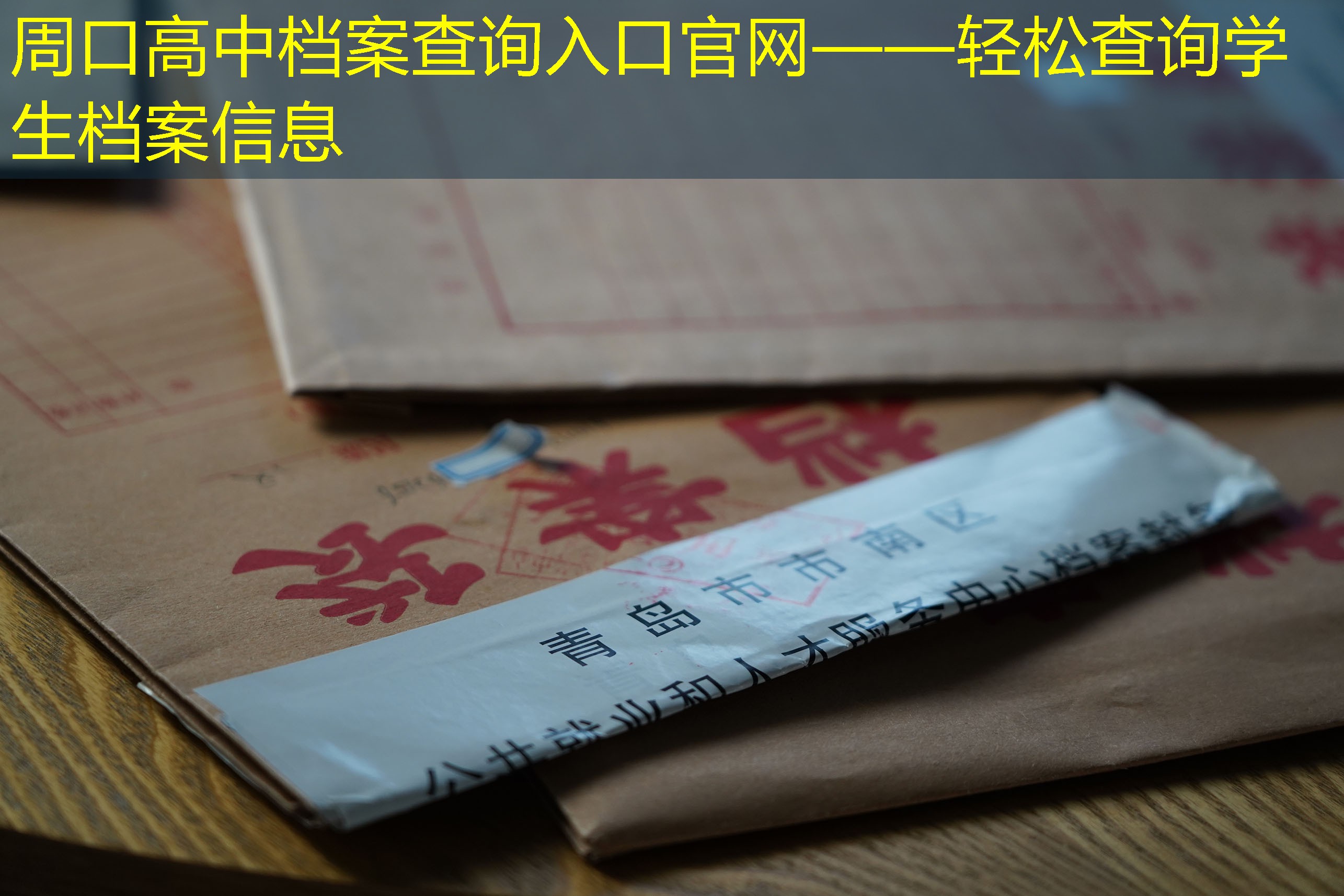 档案查询