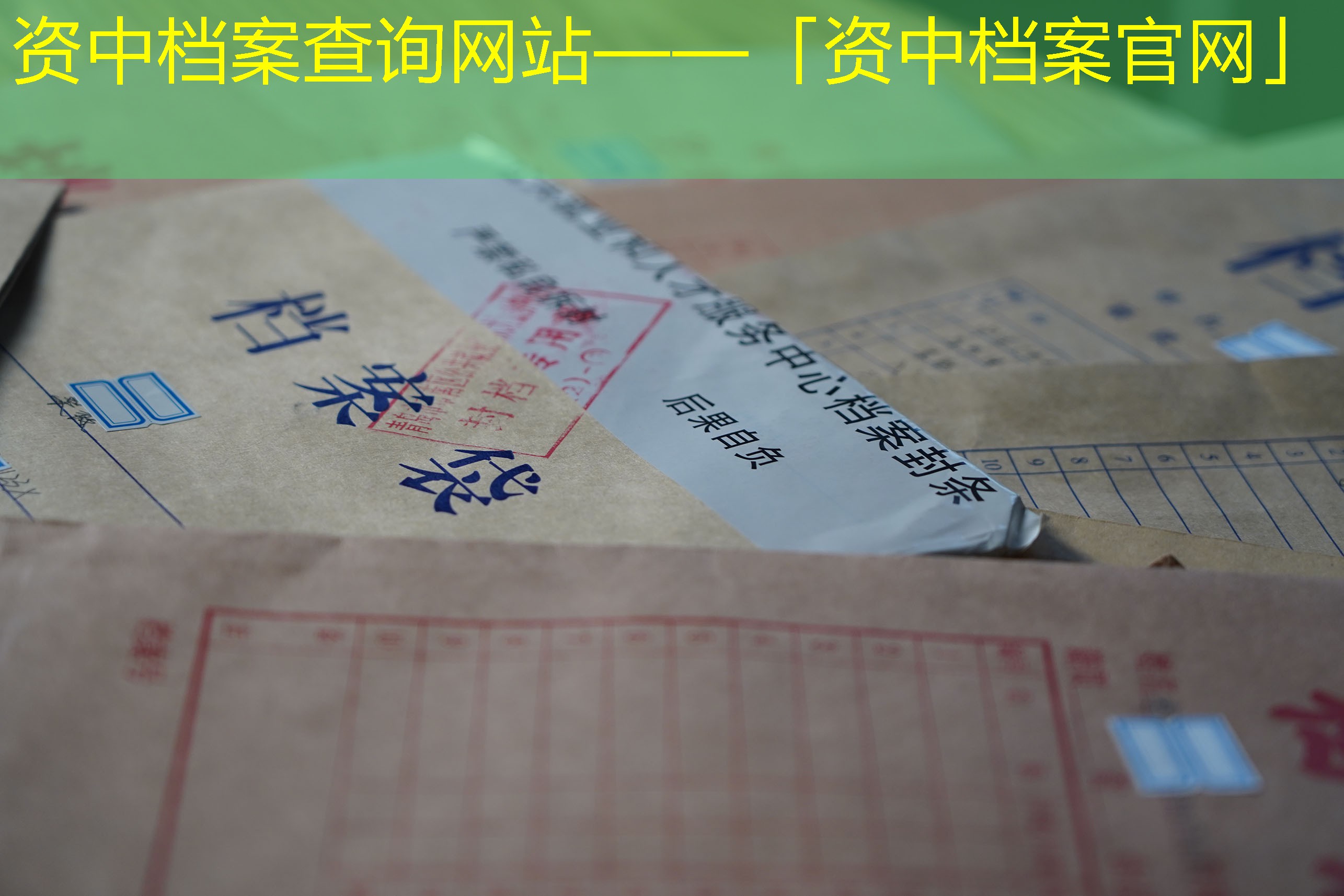 档案查询